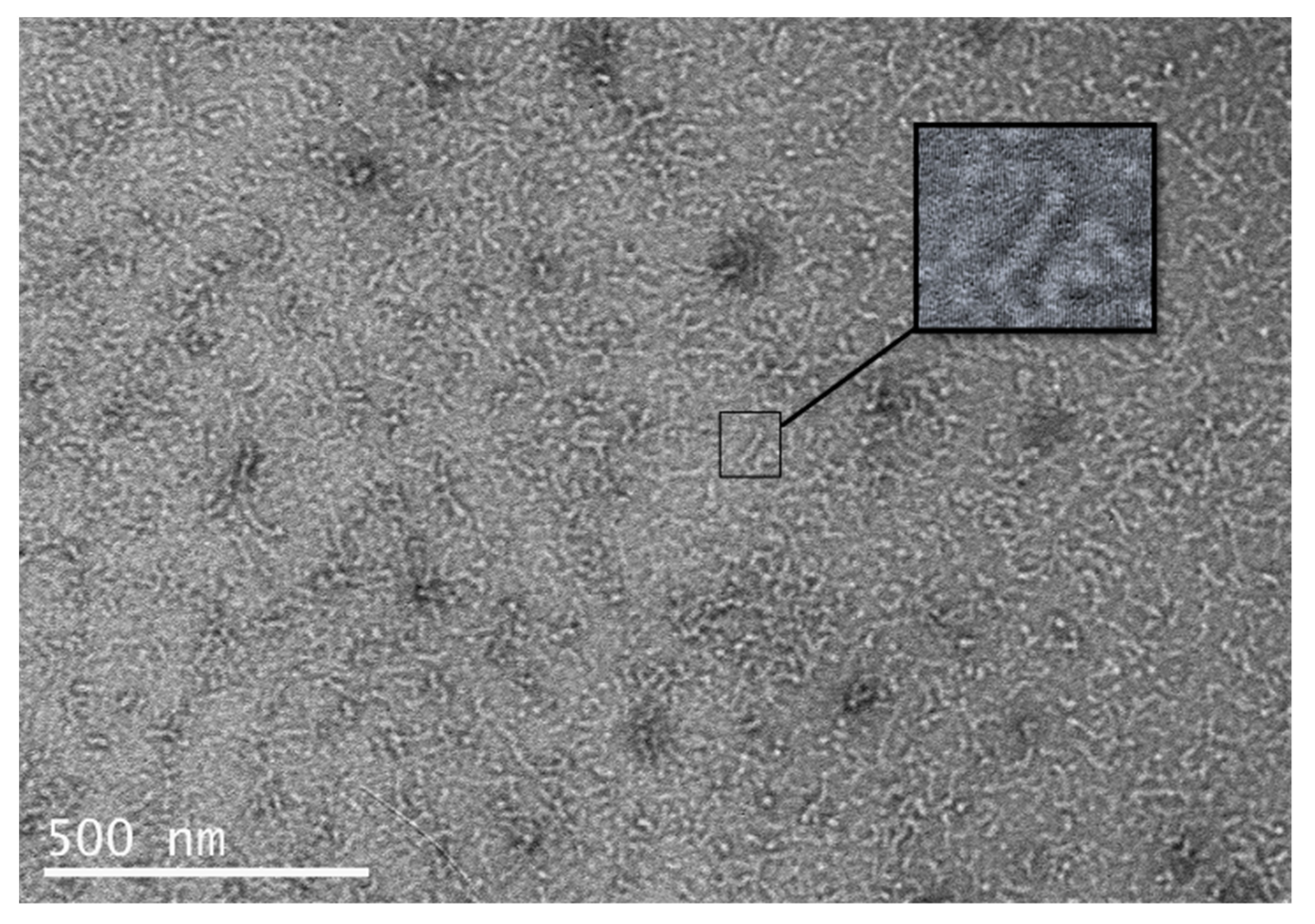 Biomolecules 12 00308 g006
