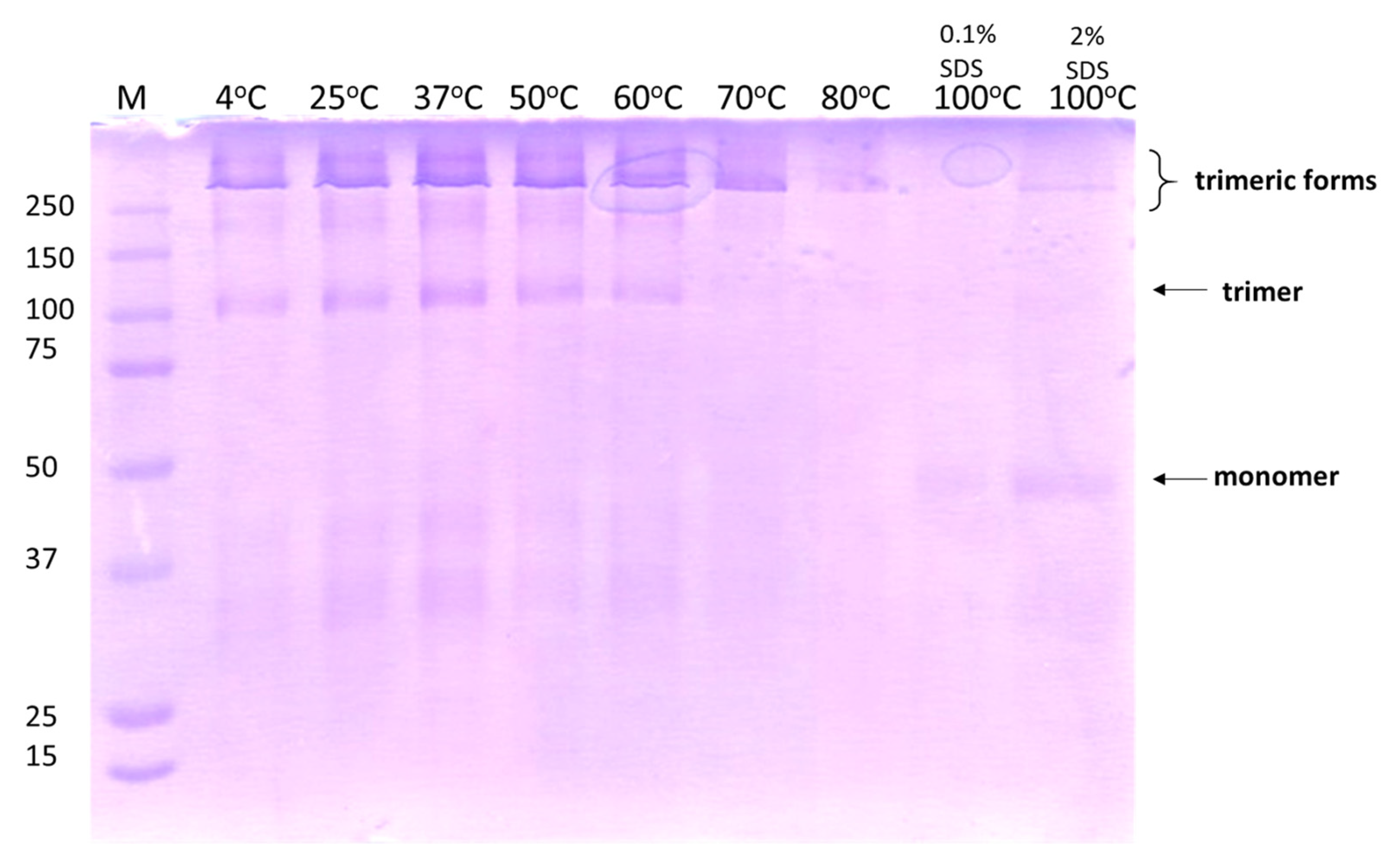 Biomolecules 12 00308 g007