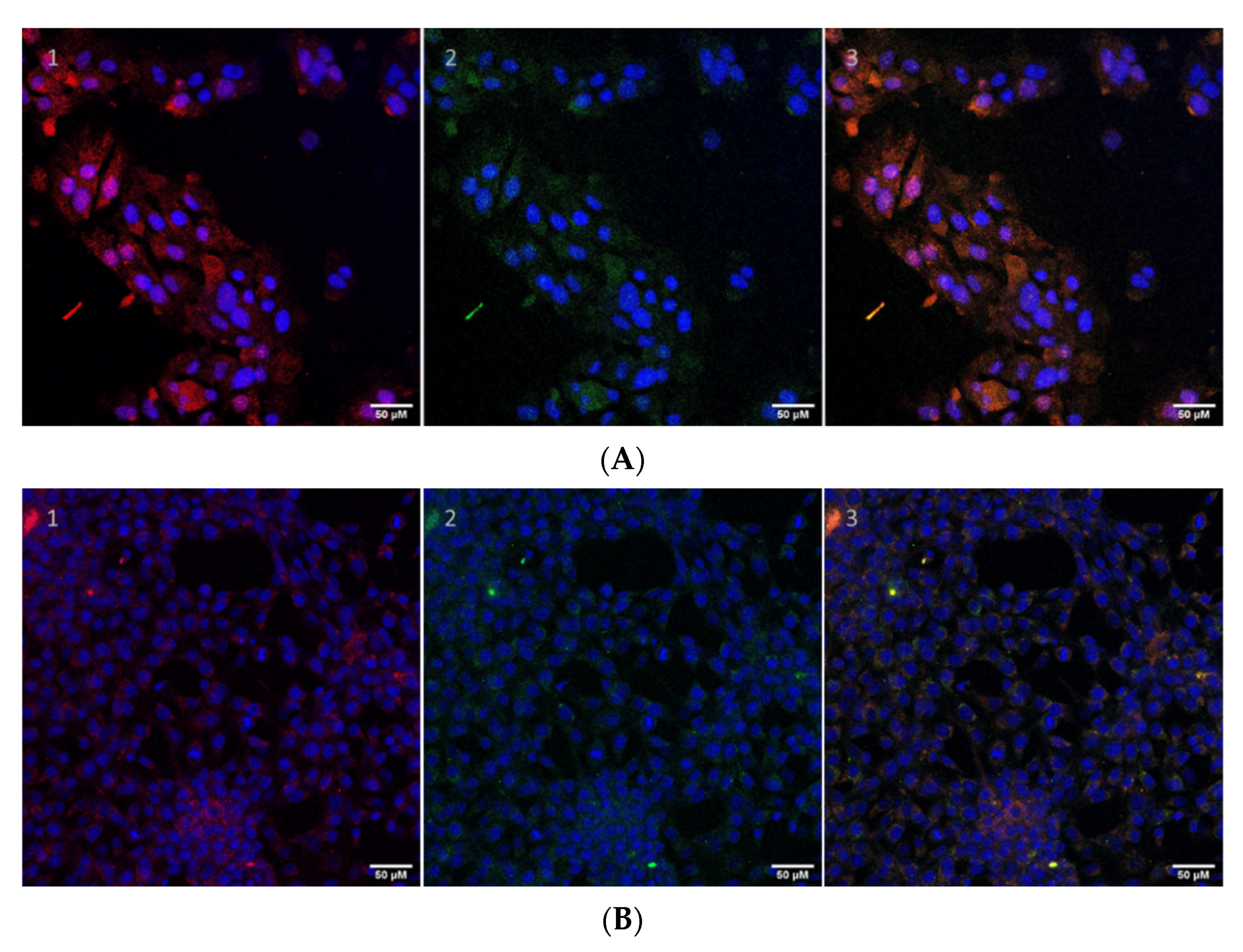 Biomolecules 12 00308 g009