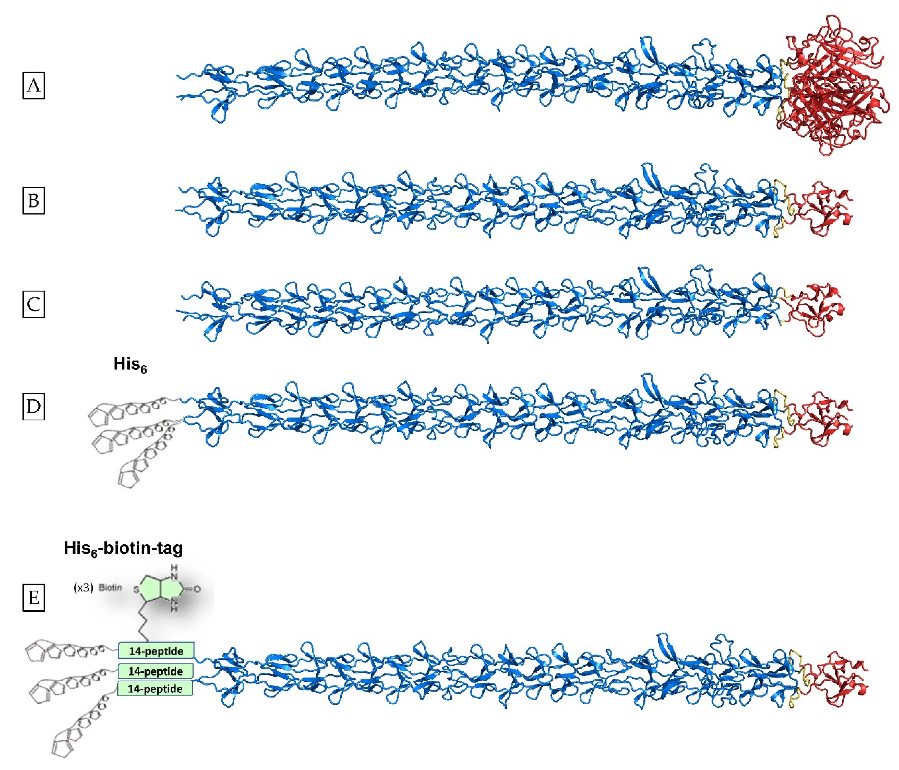 Biomolecules 12 00308 sch001