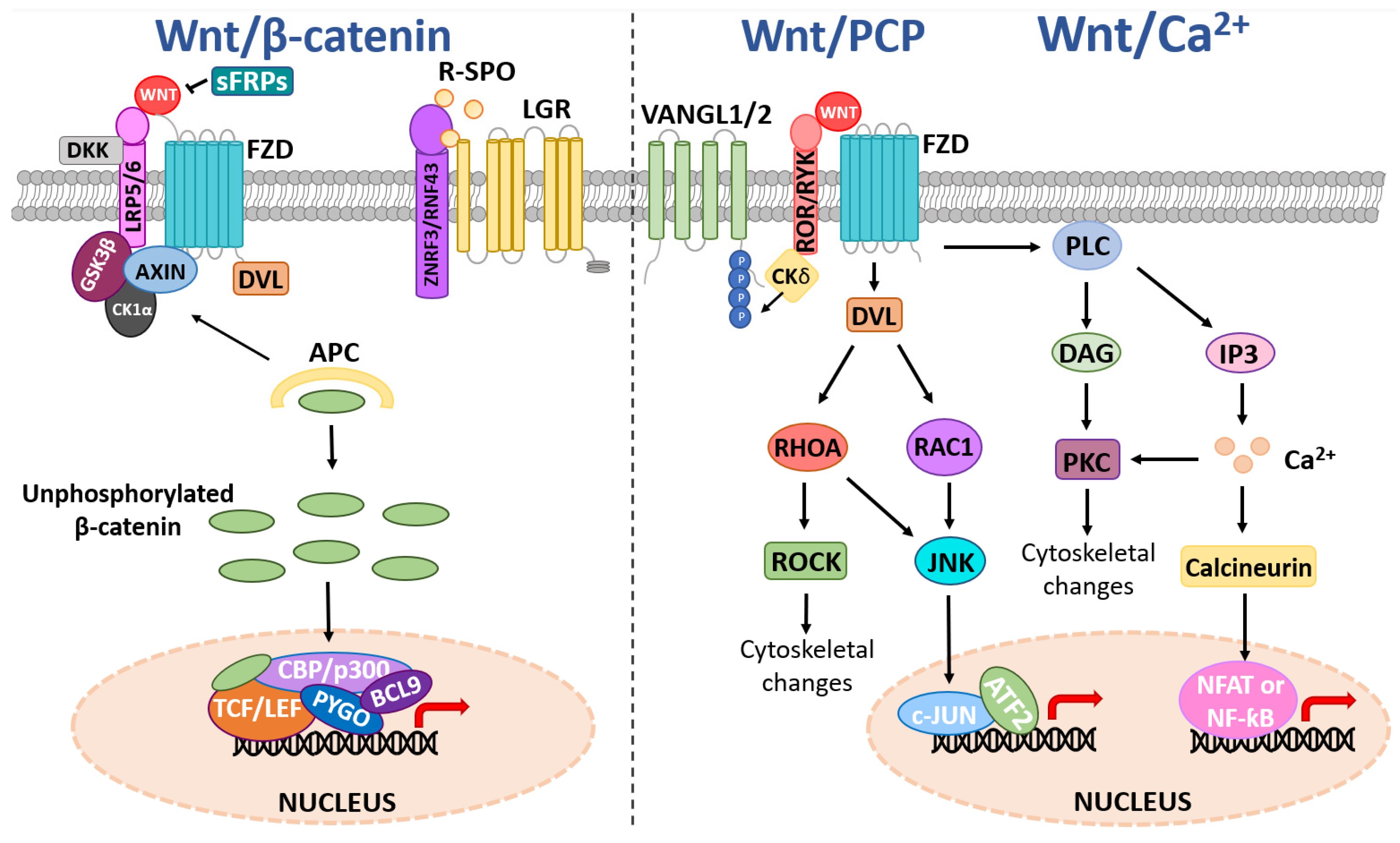 Biomolecules 12 00309 g001