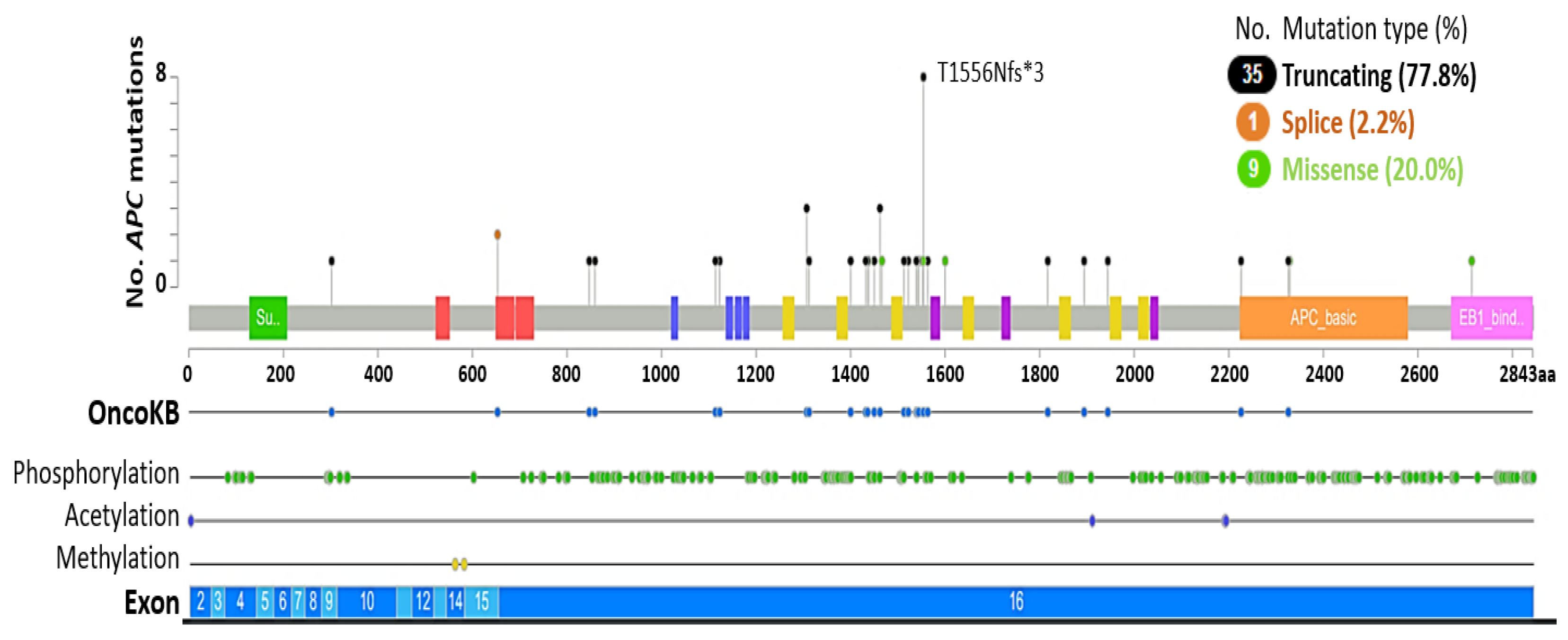 Biomolecules 12 00309 g003