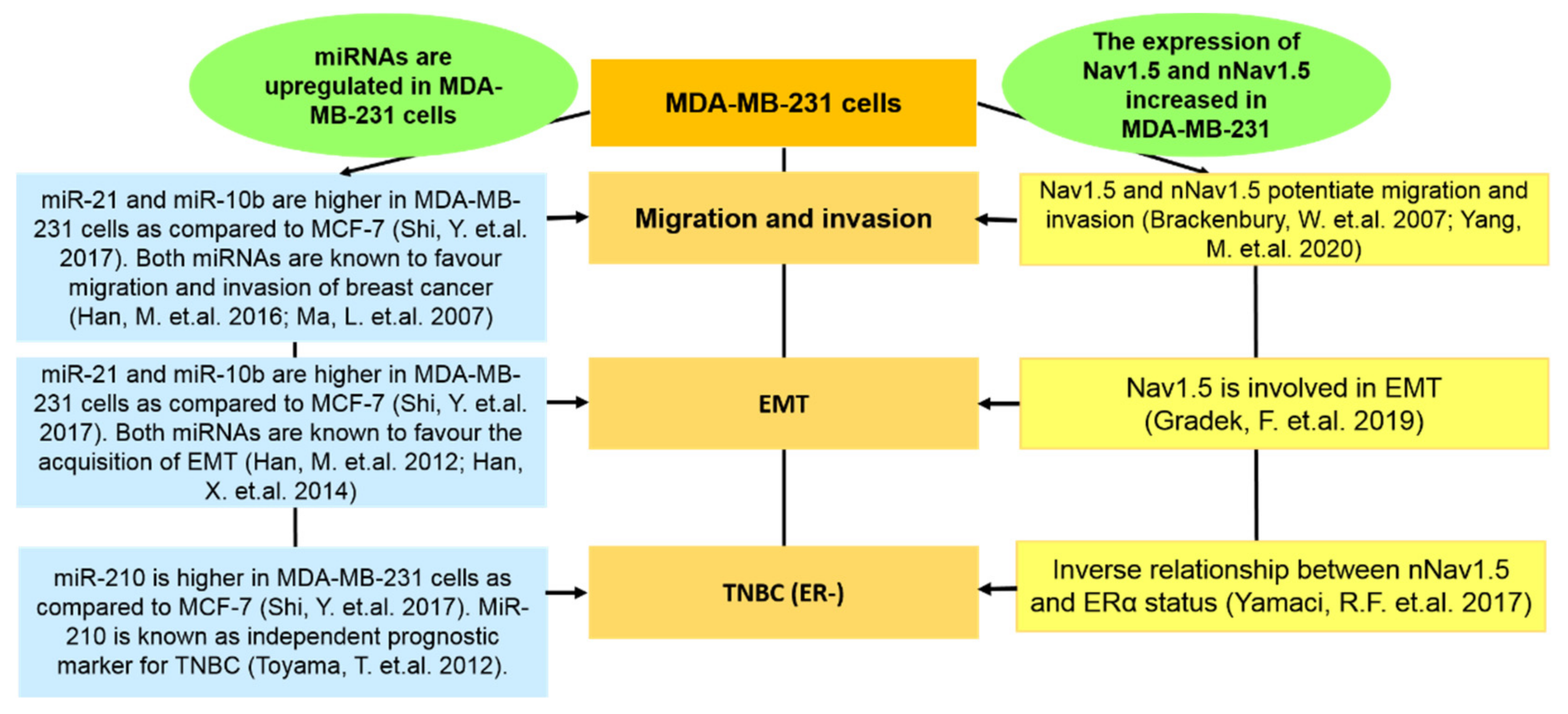 Biomolecules 12 00310 g005