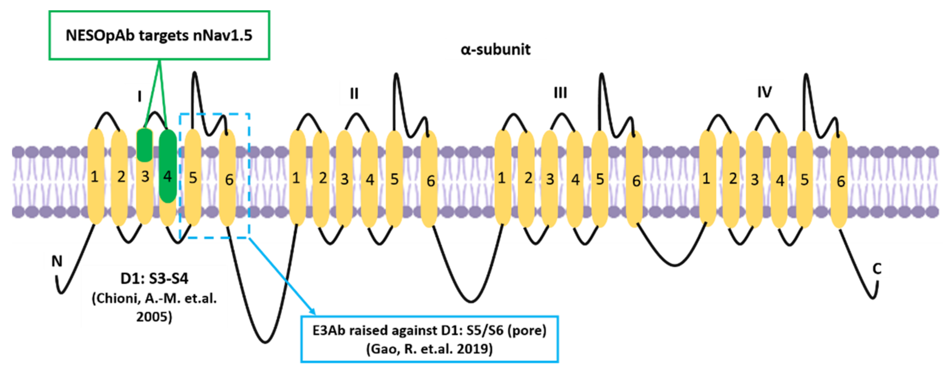 Biomolecules 12 00310 g007