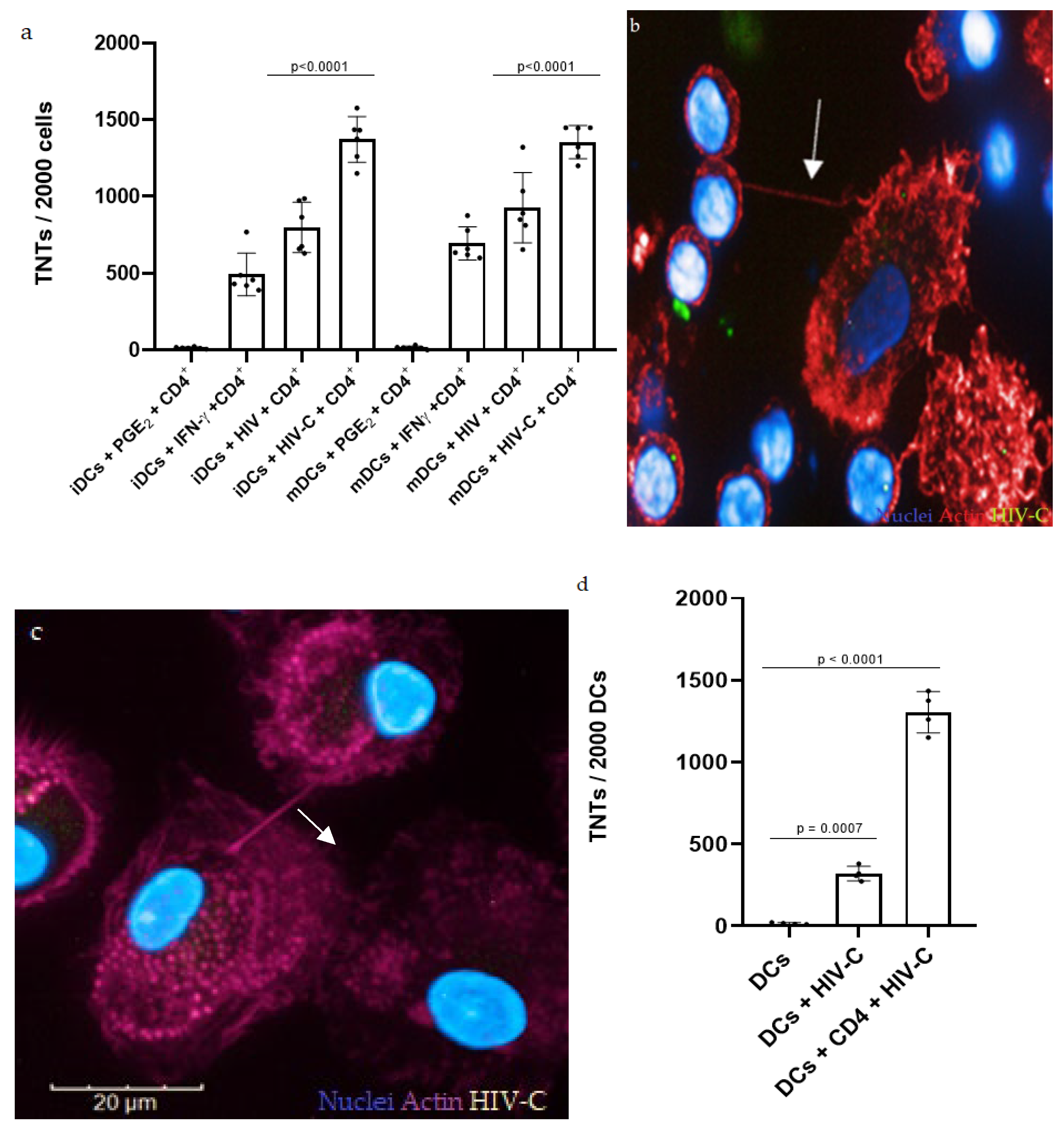 Biomolecules 12 00313 g001a