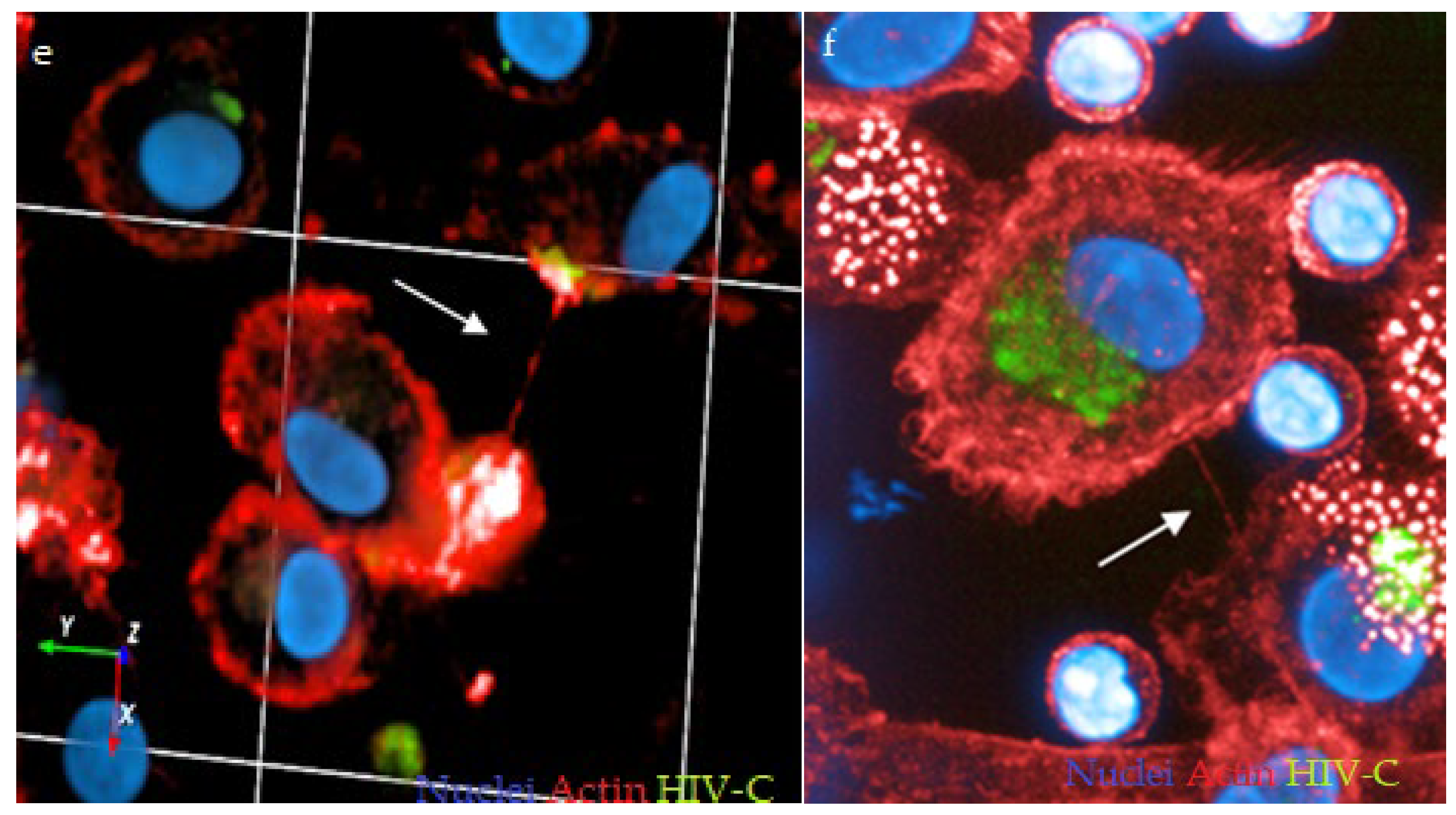 Biomolecules 12 00313 g001b