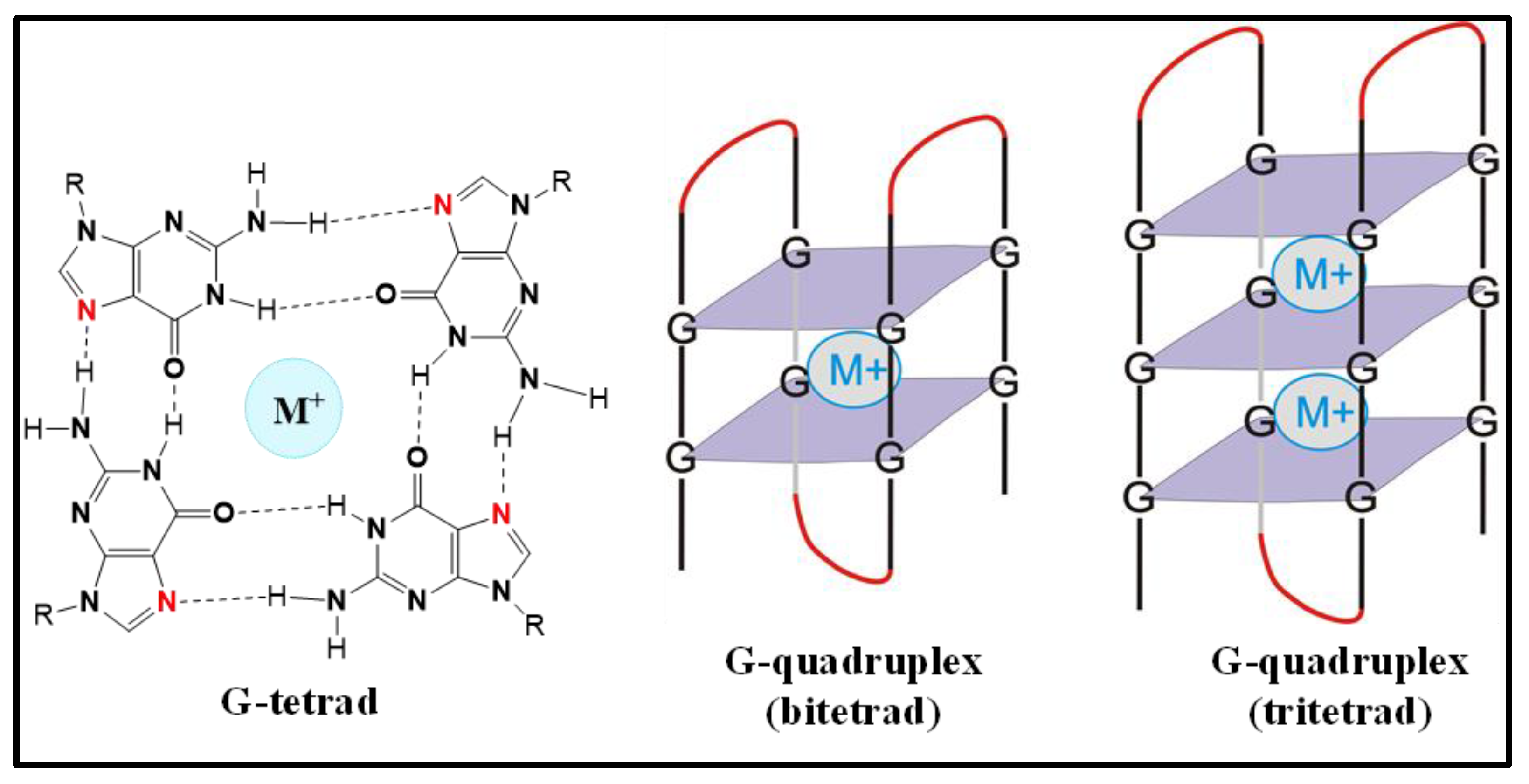 Biomolecules 12 00314 g001