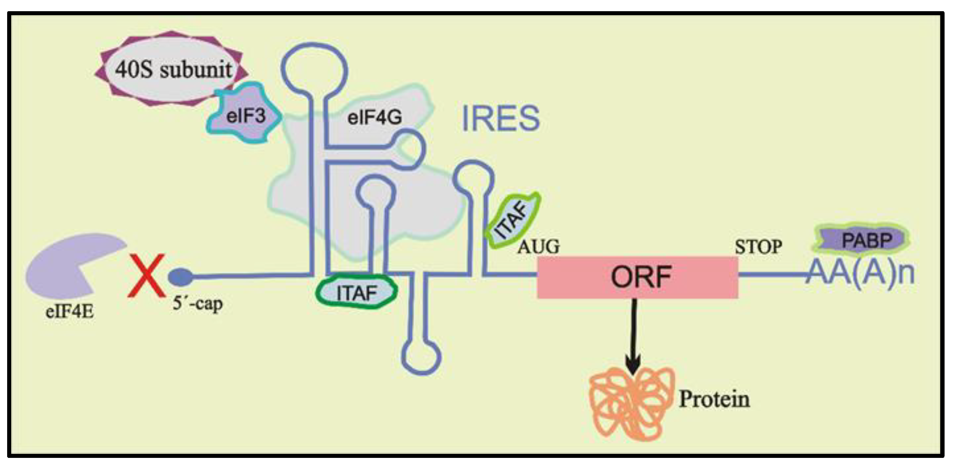 Biomolecules 12 00314 g002