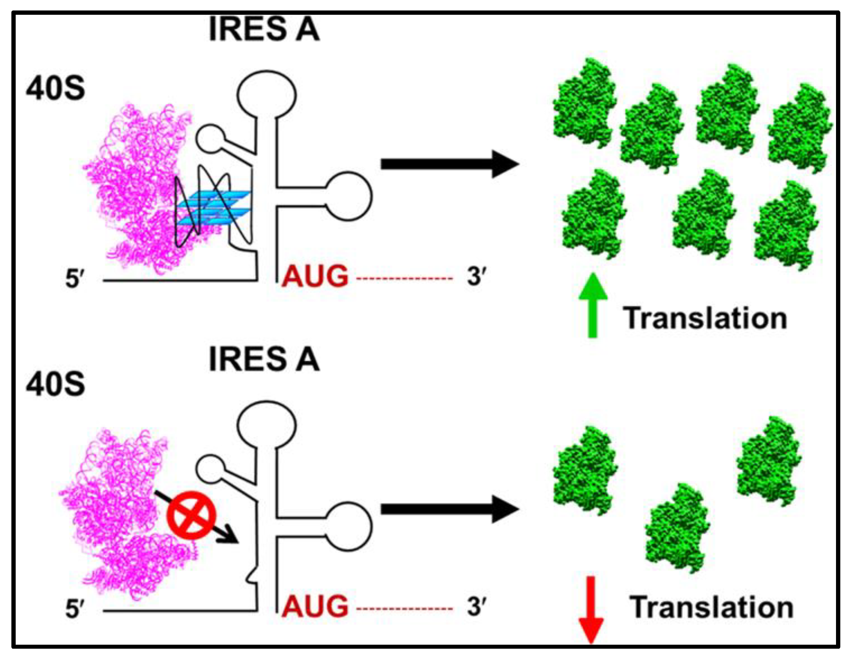 Biomolecules 12 00314 g003