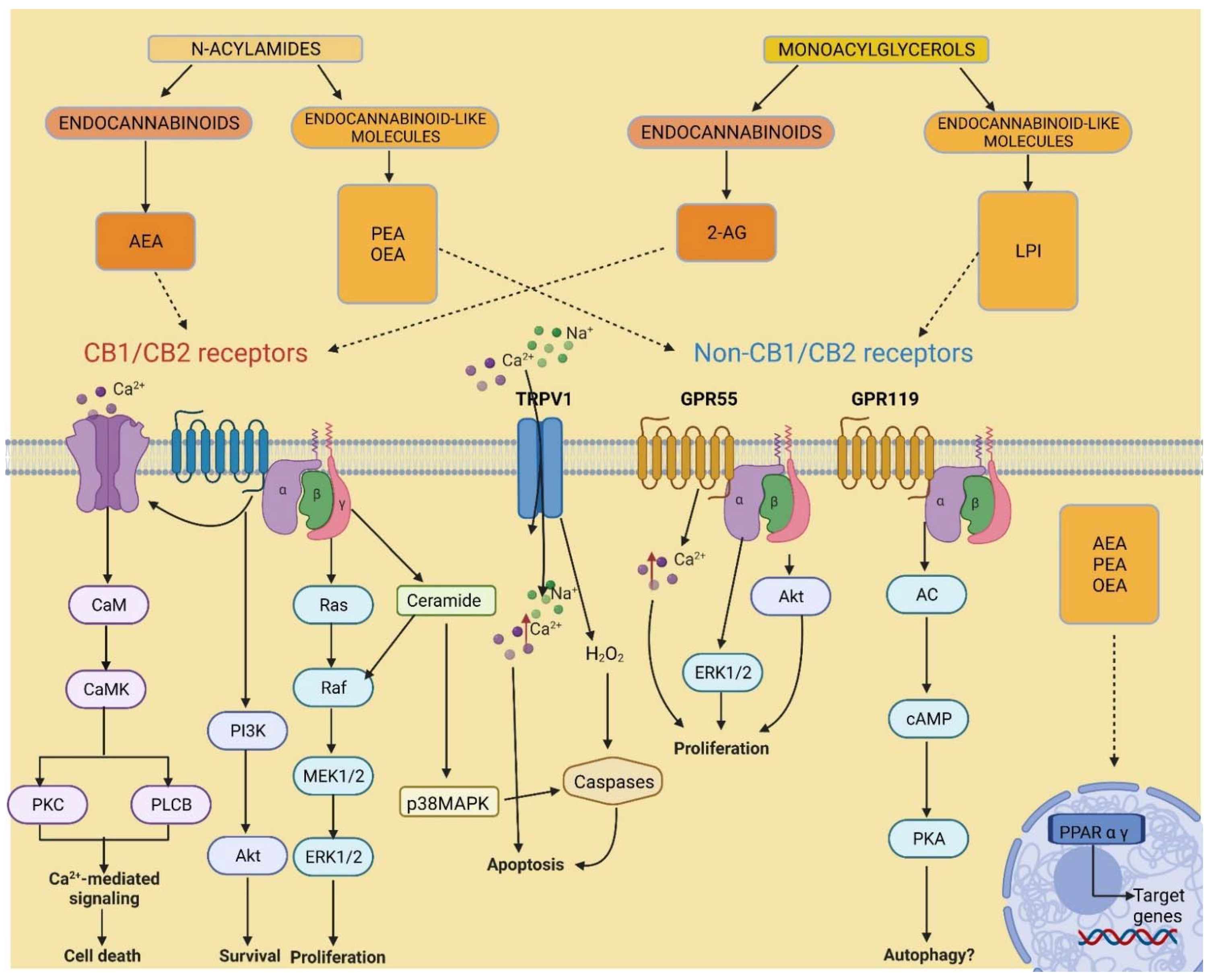 Biomolecules 12 00320 g002