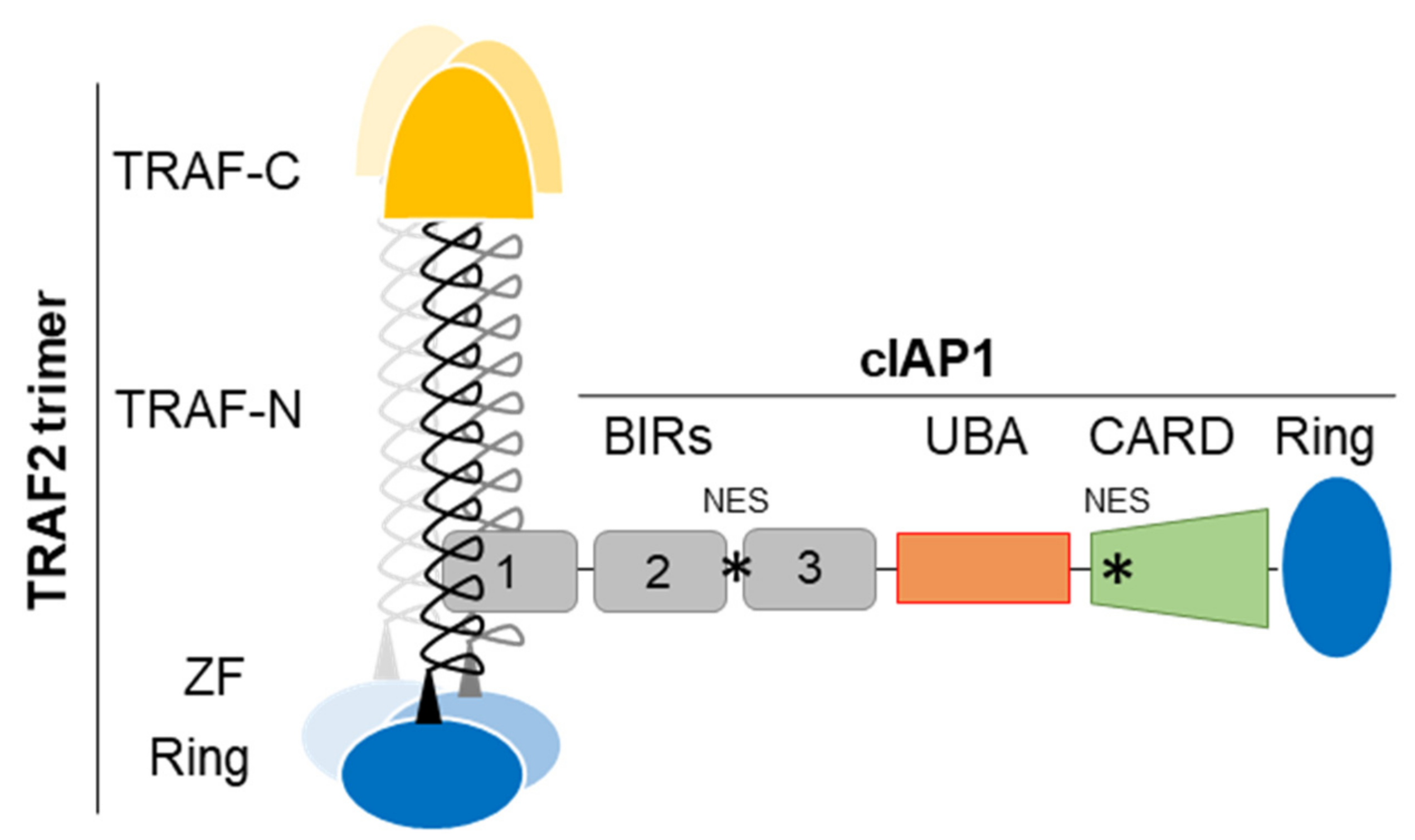 Biomolecules 12 00322 g001
