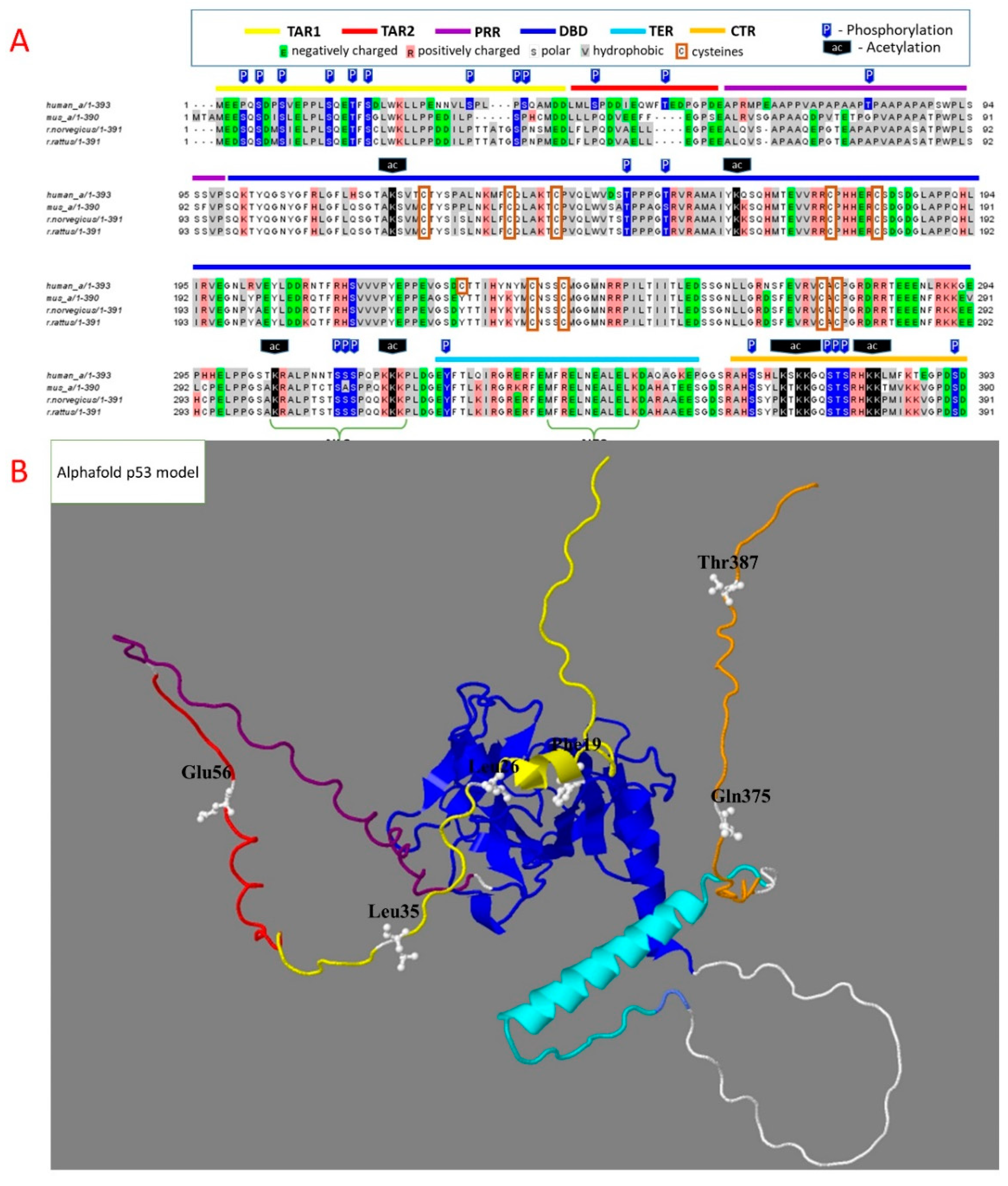 Biomolecules 12 00327 g001