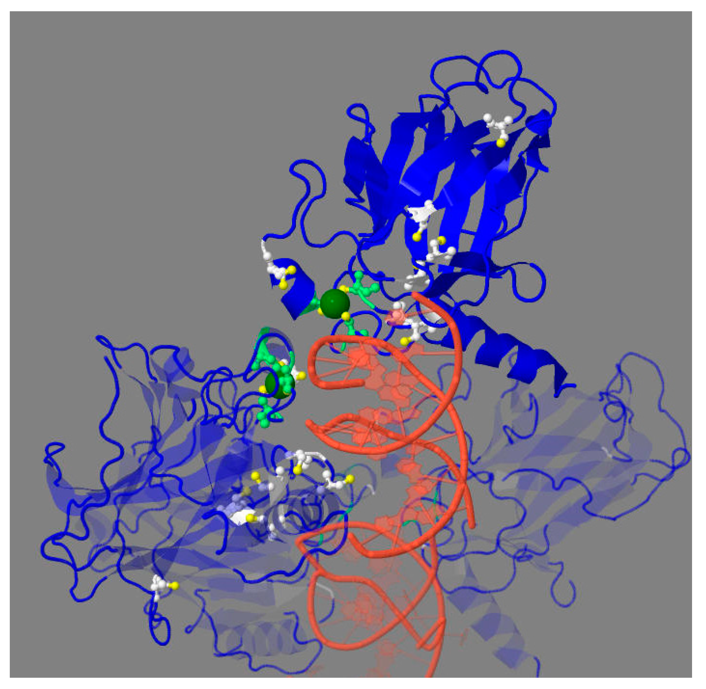 Biomolecules 12 00327 g002