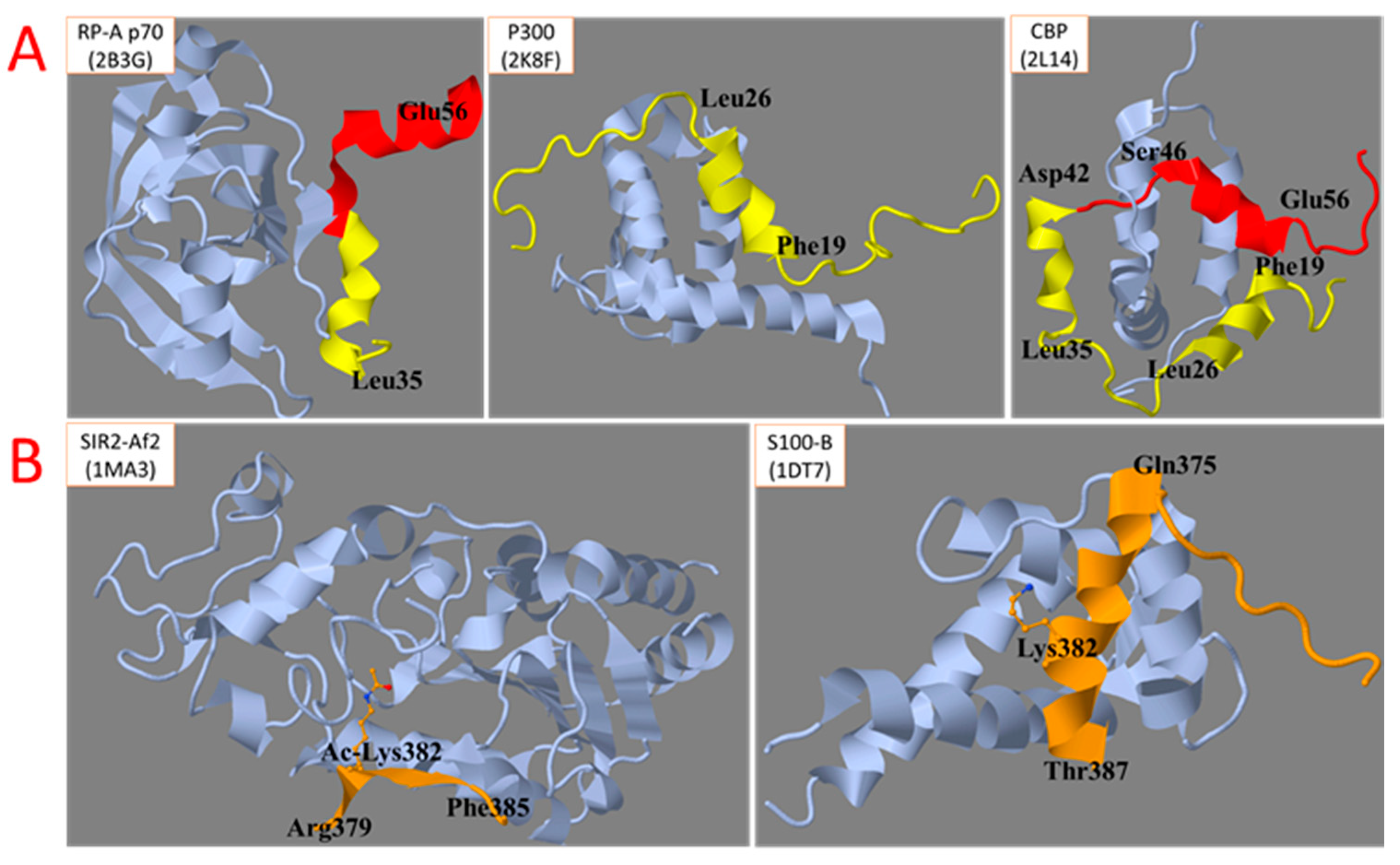 Biomolecules 12 00327 g003