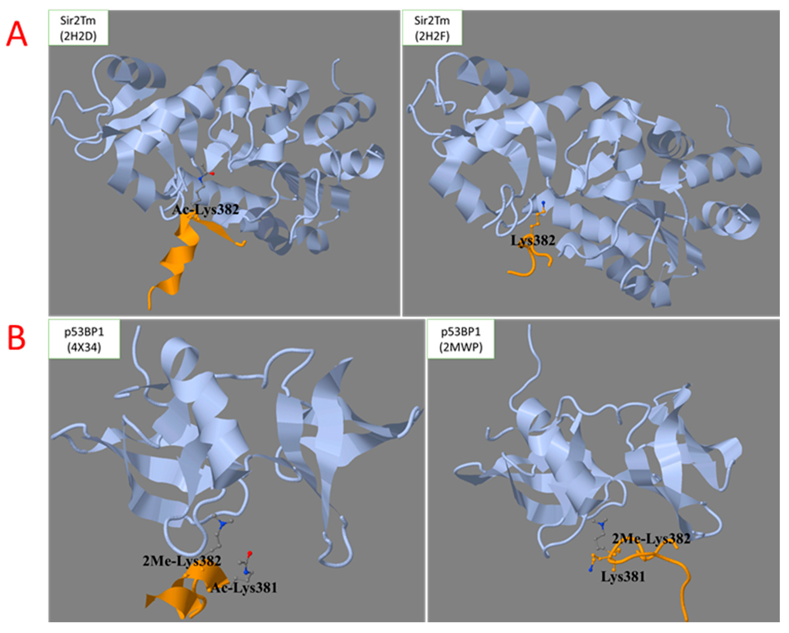 Biomolecules 12 00327 g004