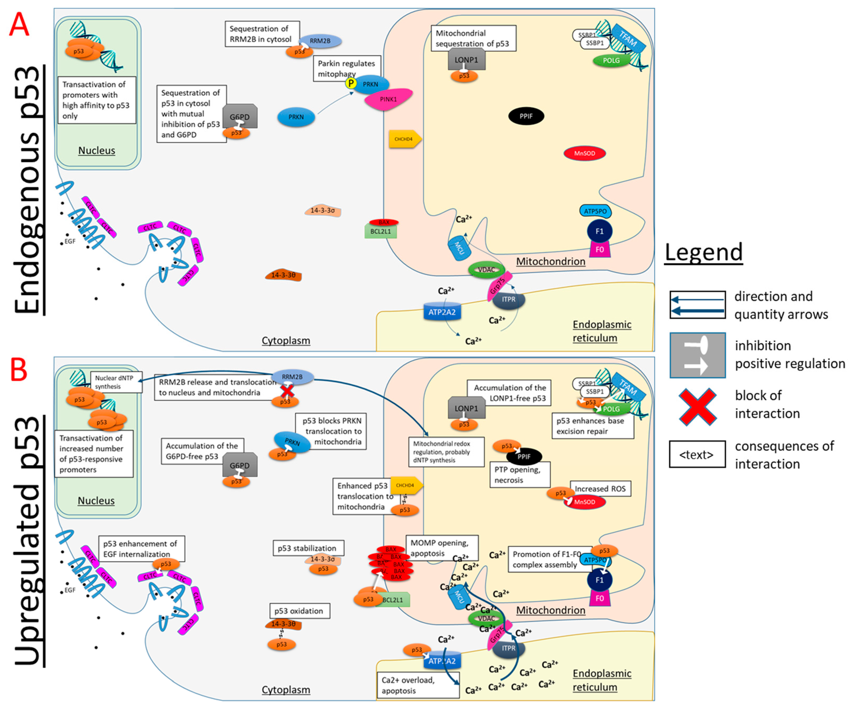 Biomolecules 12 00327 g005