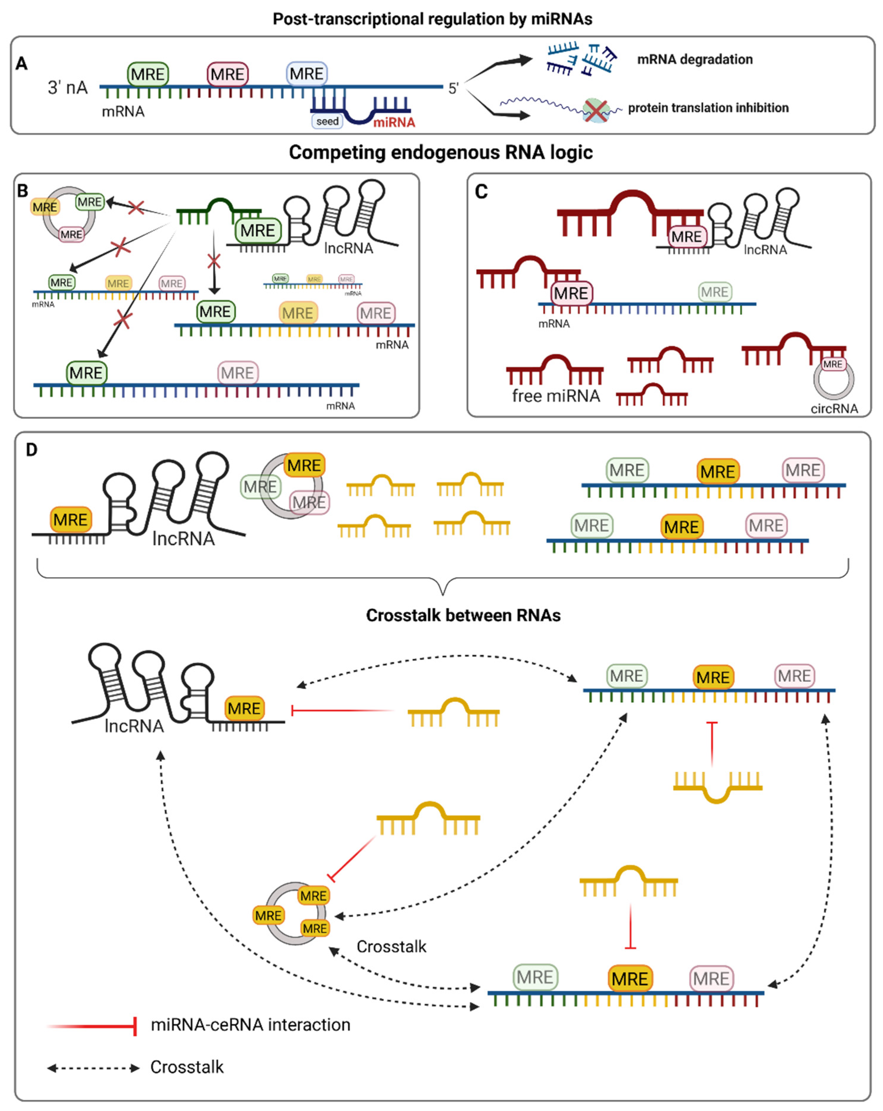 Biomolecules 12 00332 g001