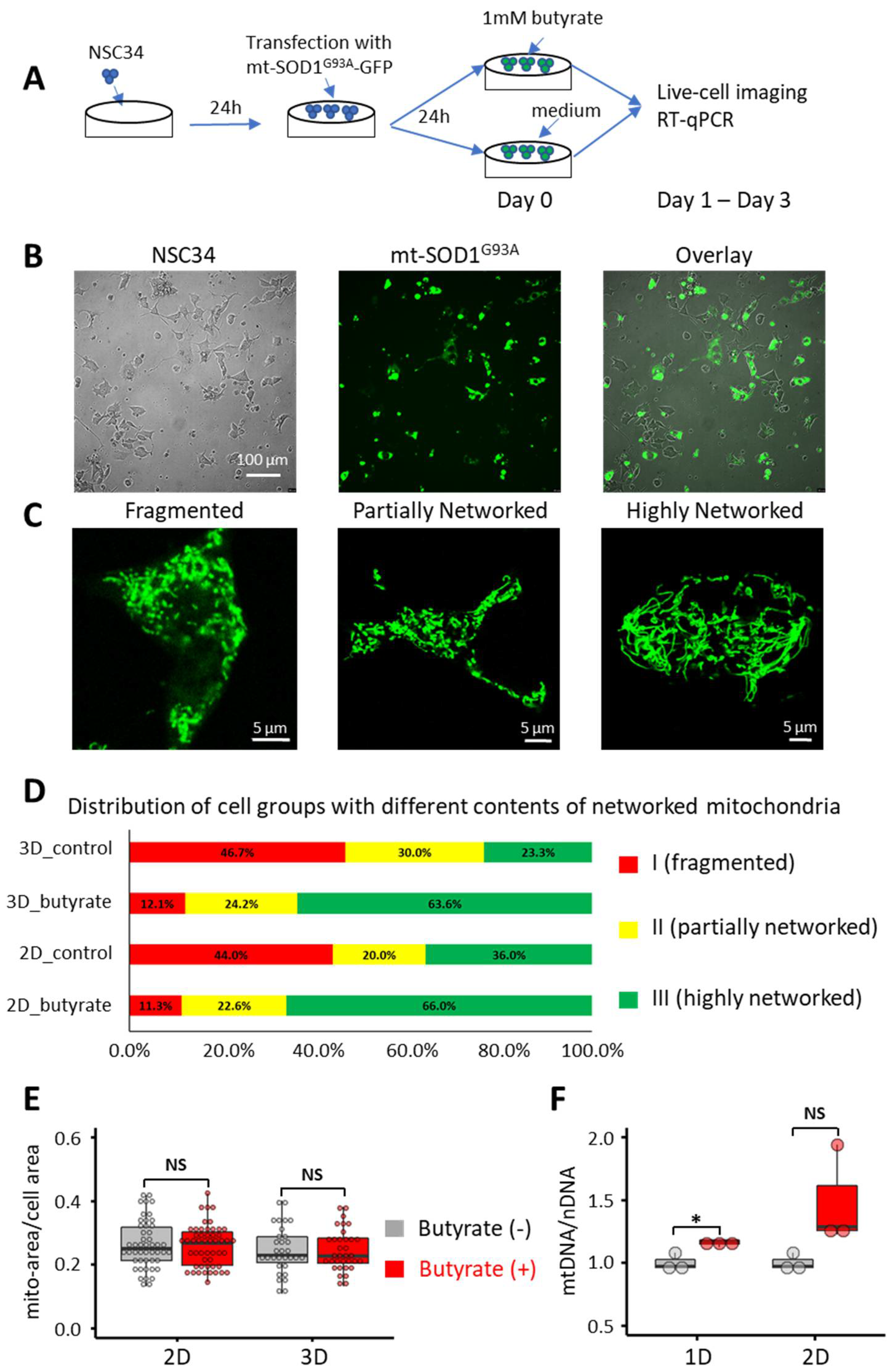 Biomolecules 12 00333 g001