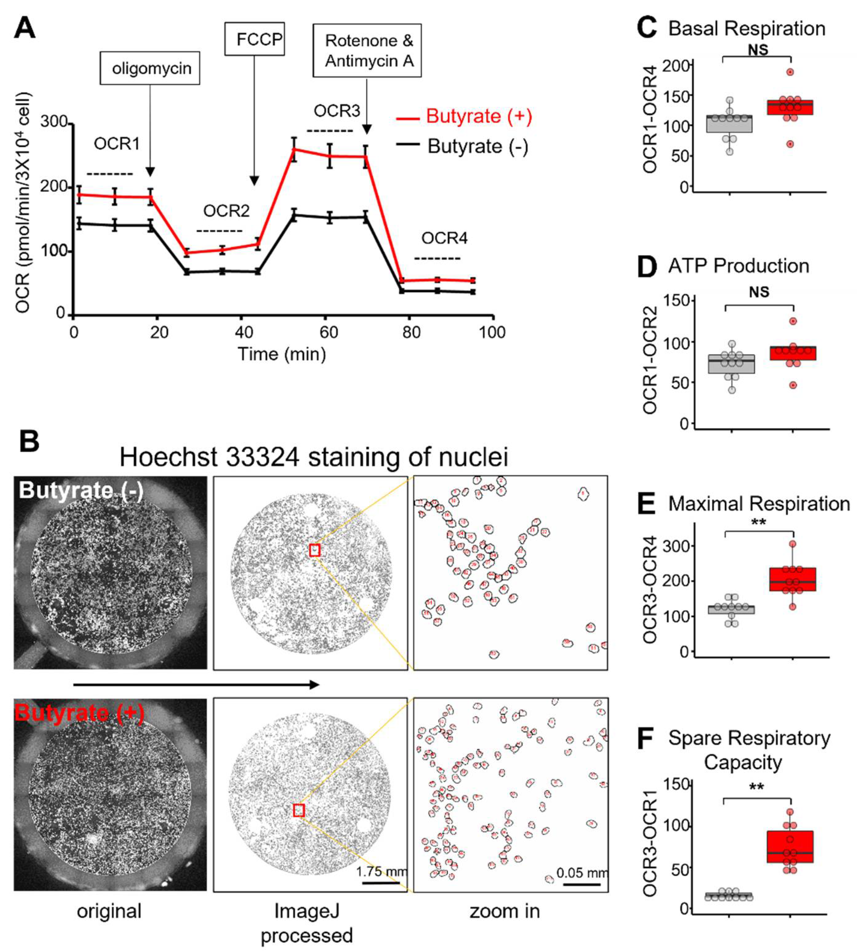 Biomolecules 12 00333 g002