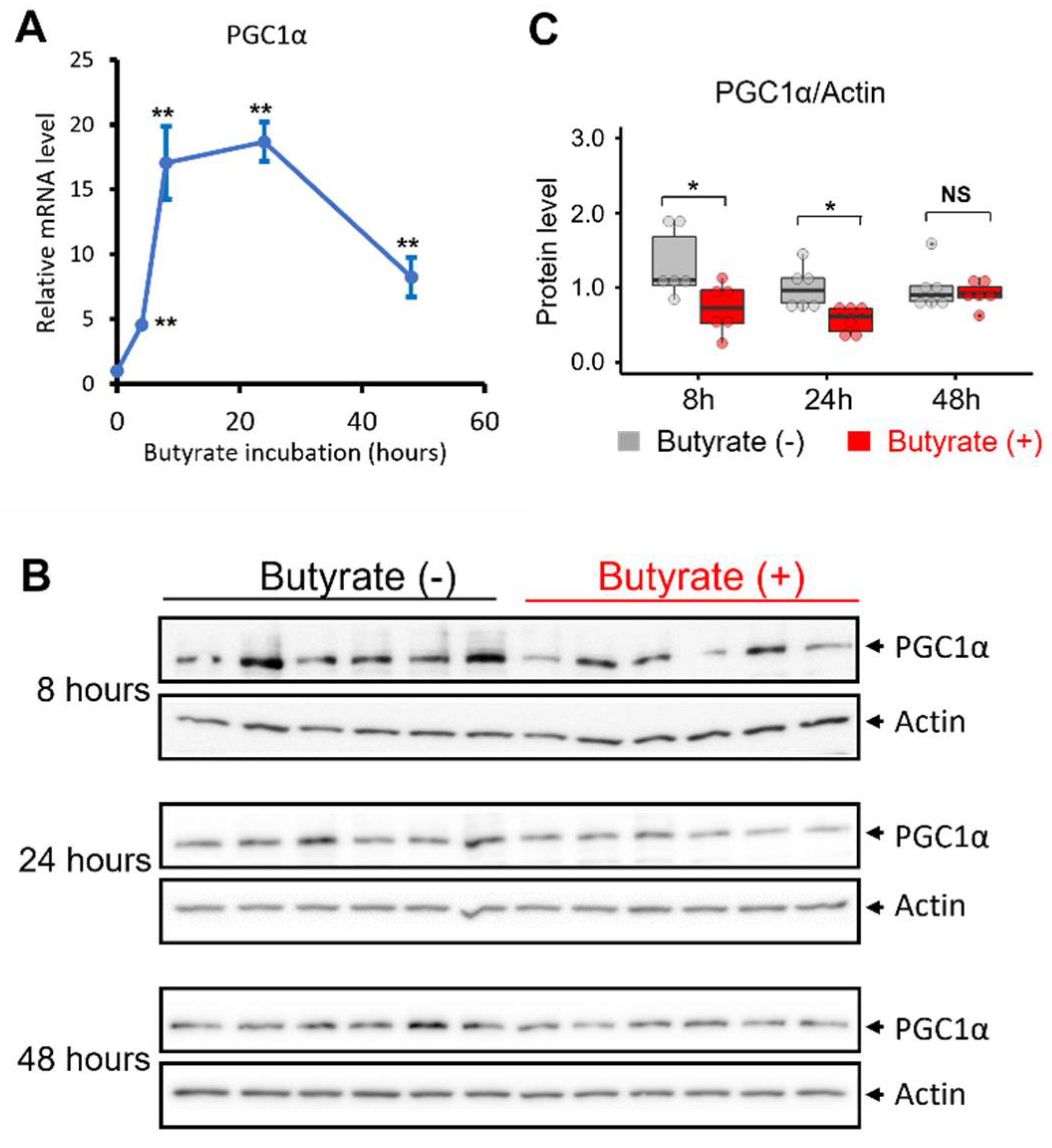 Biomolecules 12 00333 g003