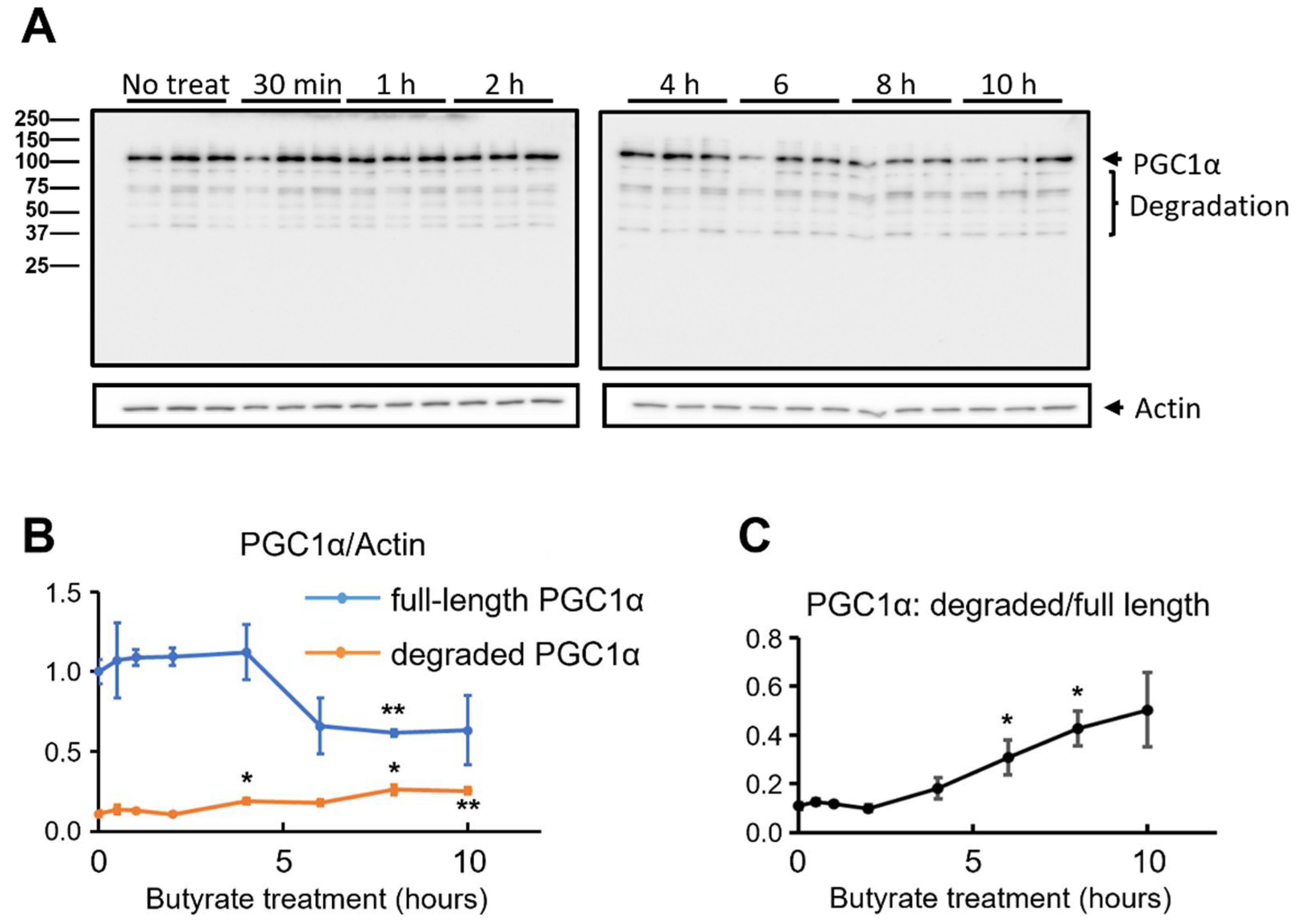 Biomolecules 12 00333 g004
