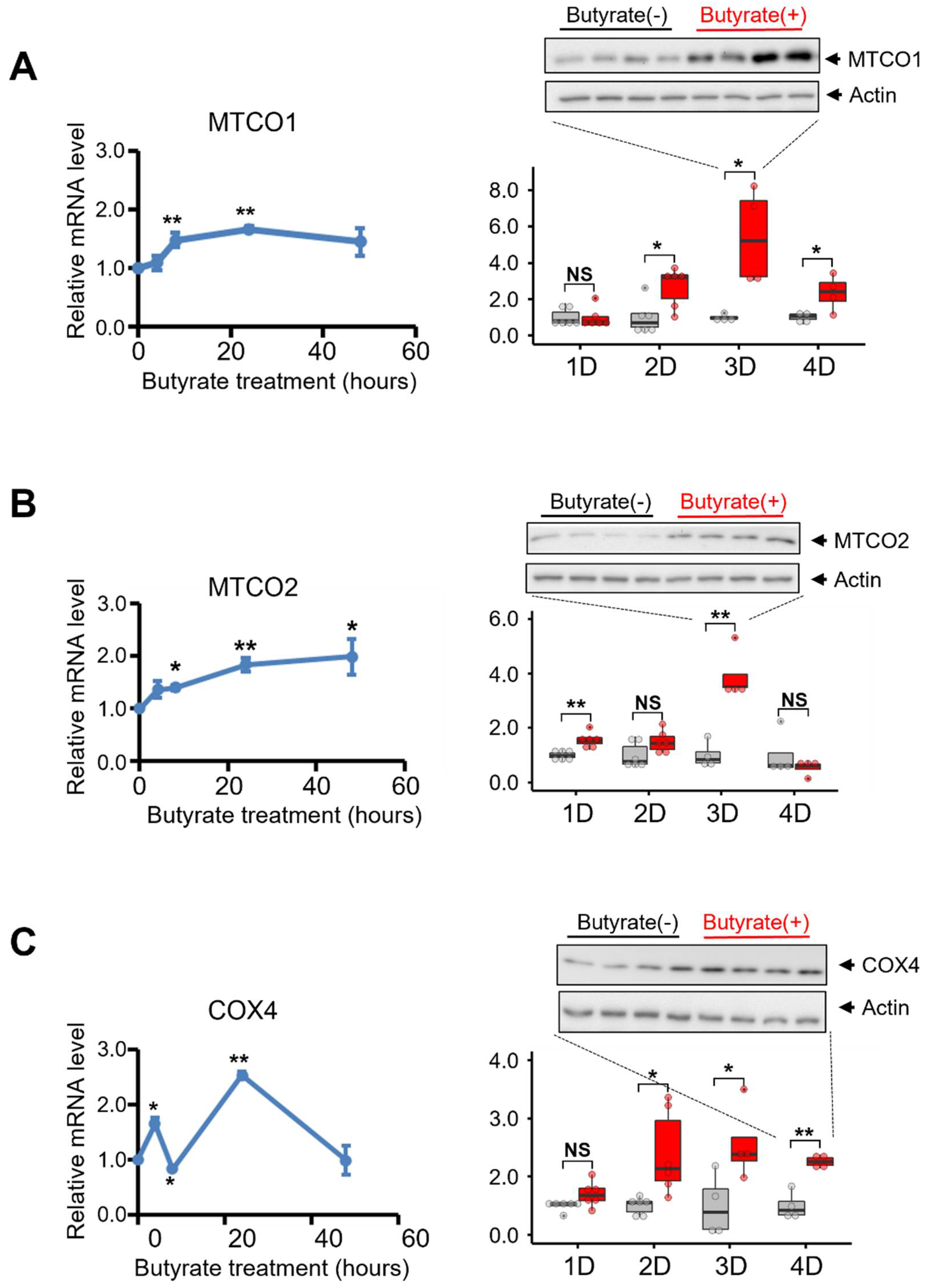 Biomolecules 12 00333 g005