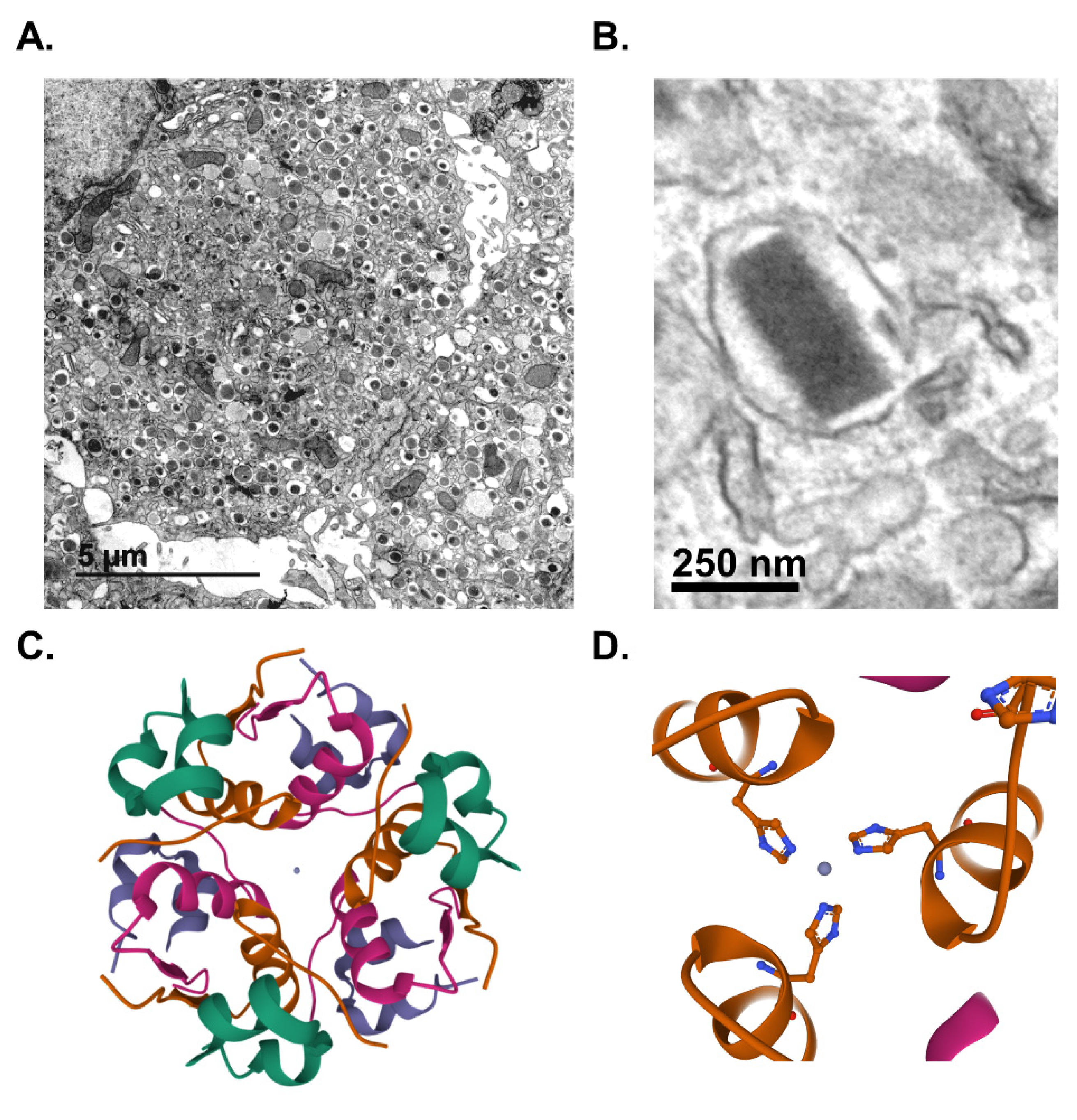 Biomolecules 12 00335 g001