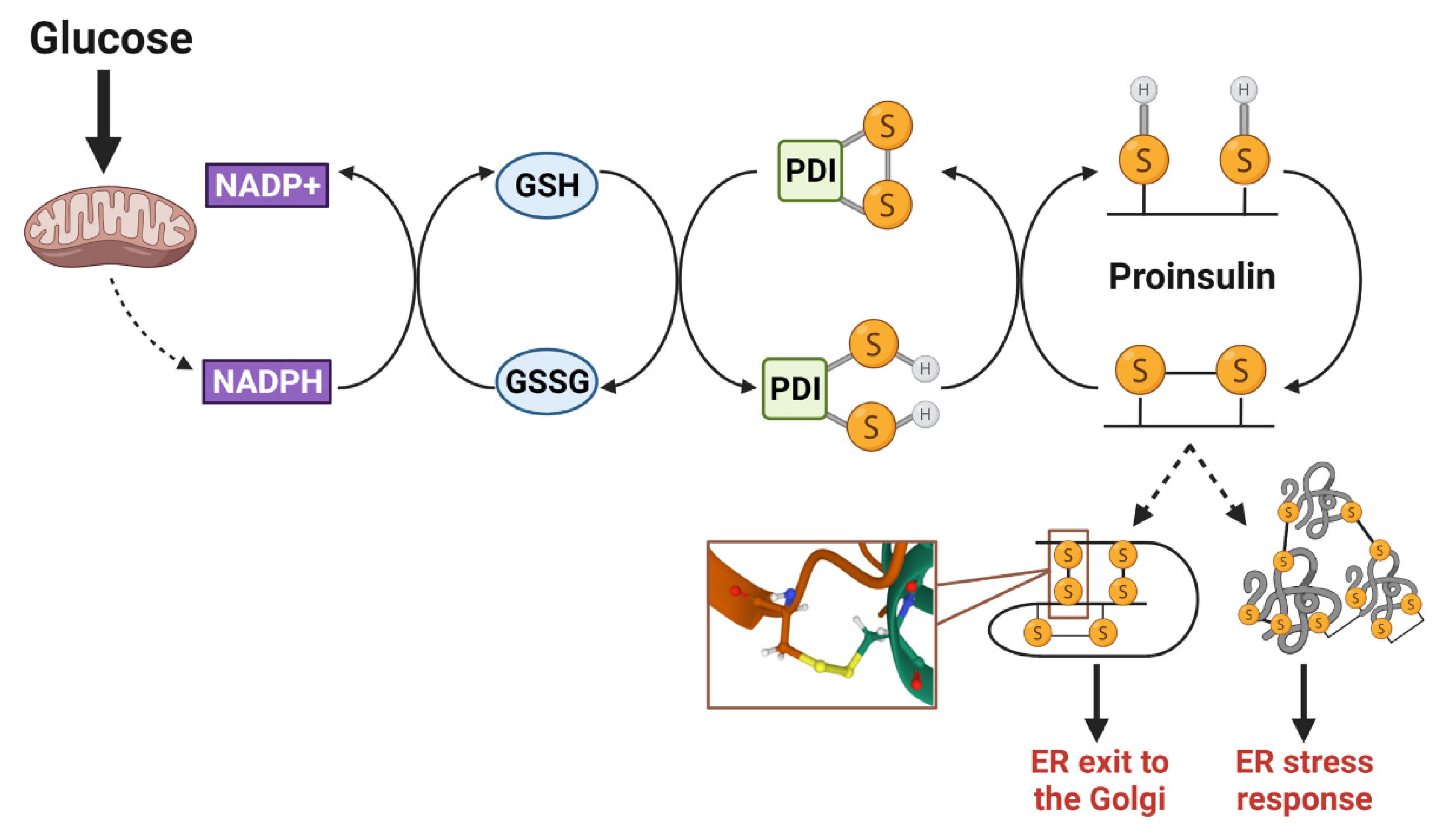 Biomolecules 12 00335 g004