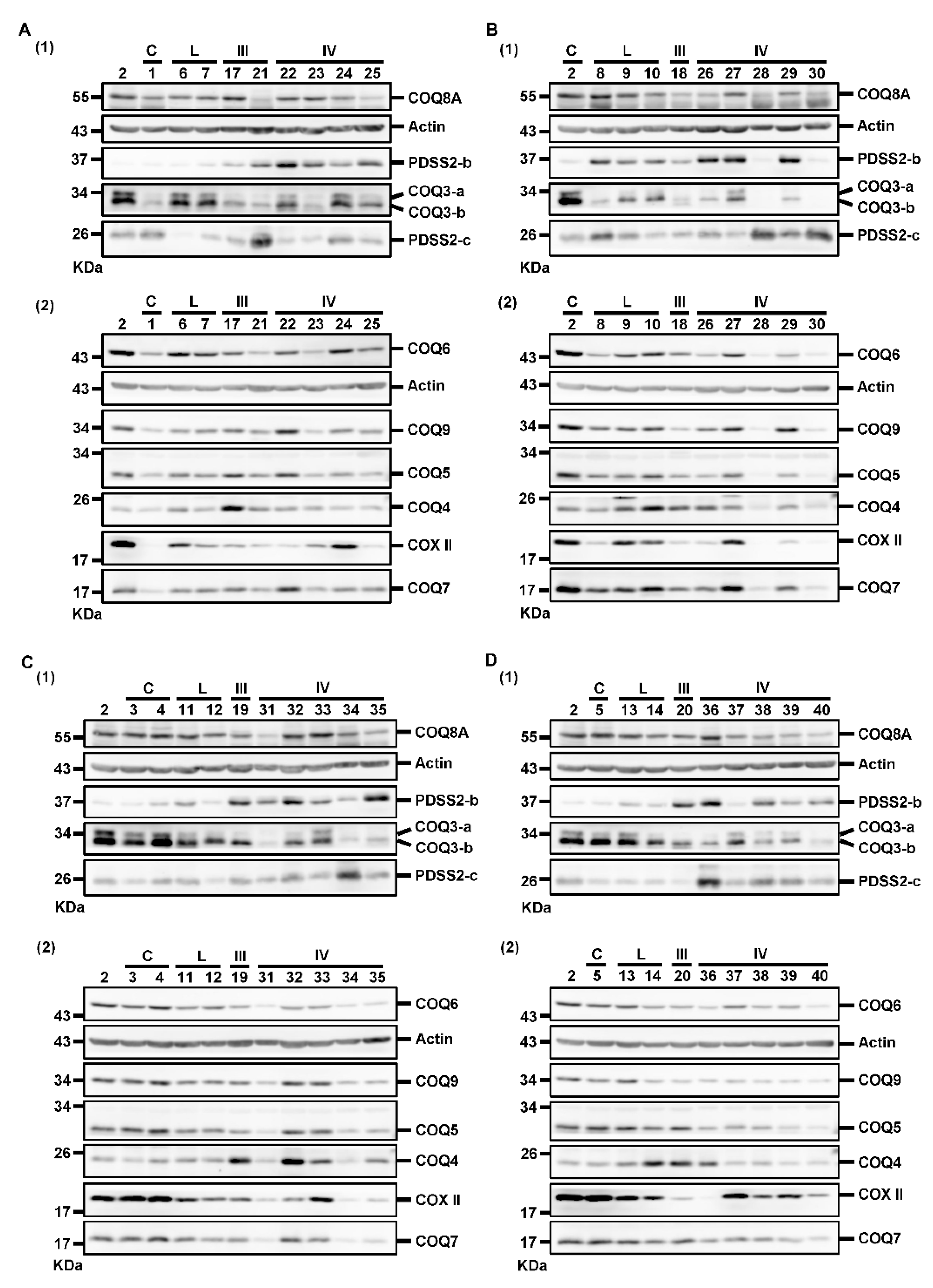 Biomolecules 12 00336 g003