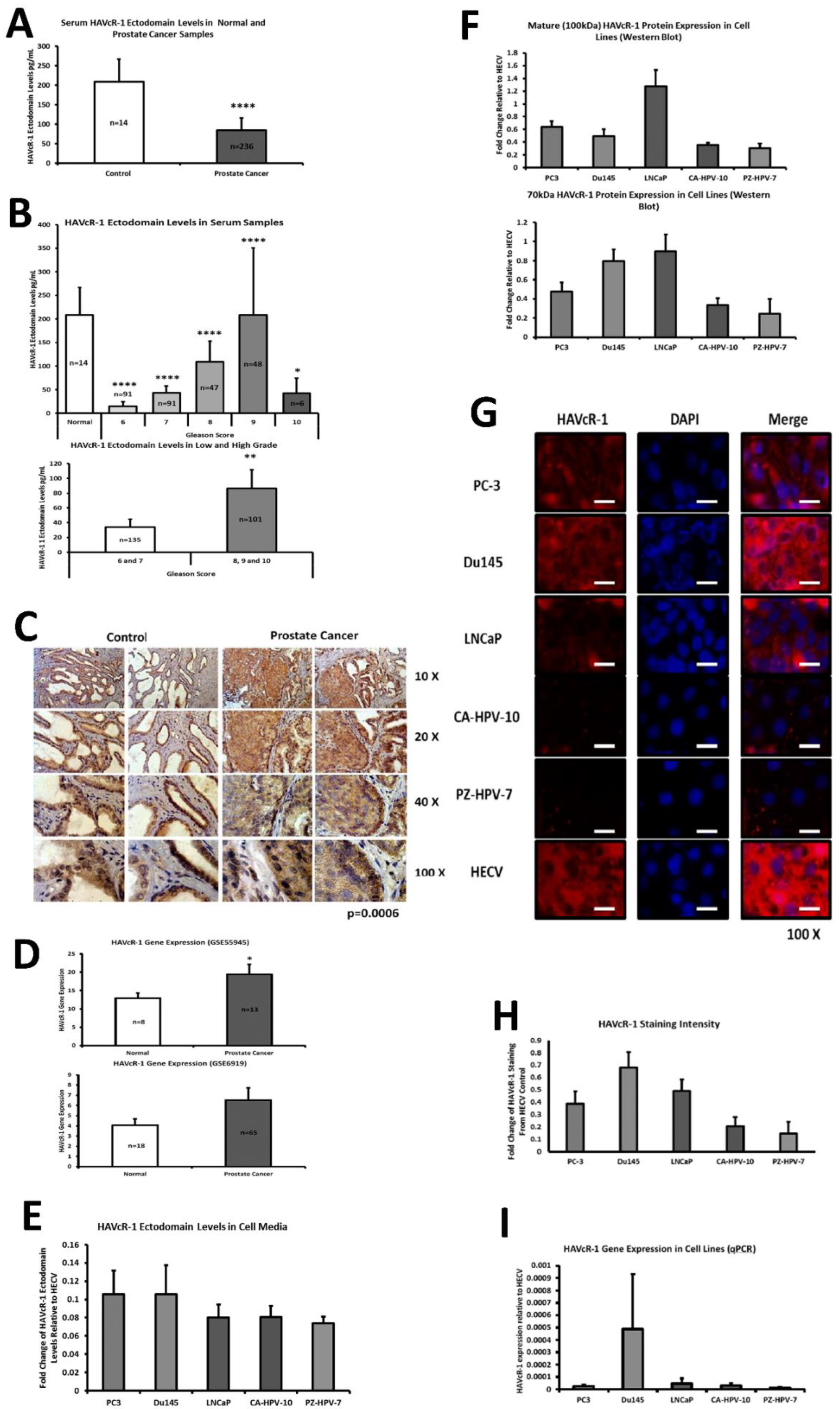 Biomolecules 12 00338 g001