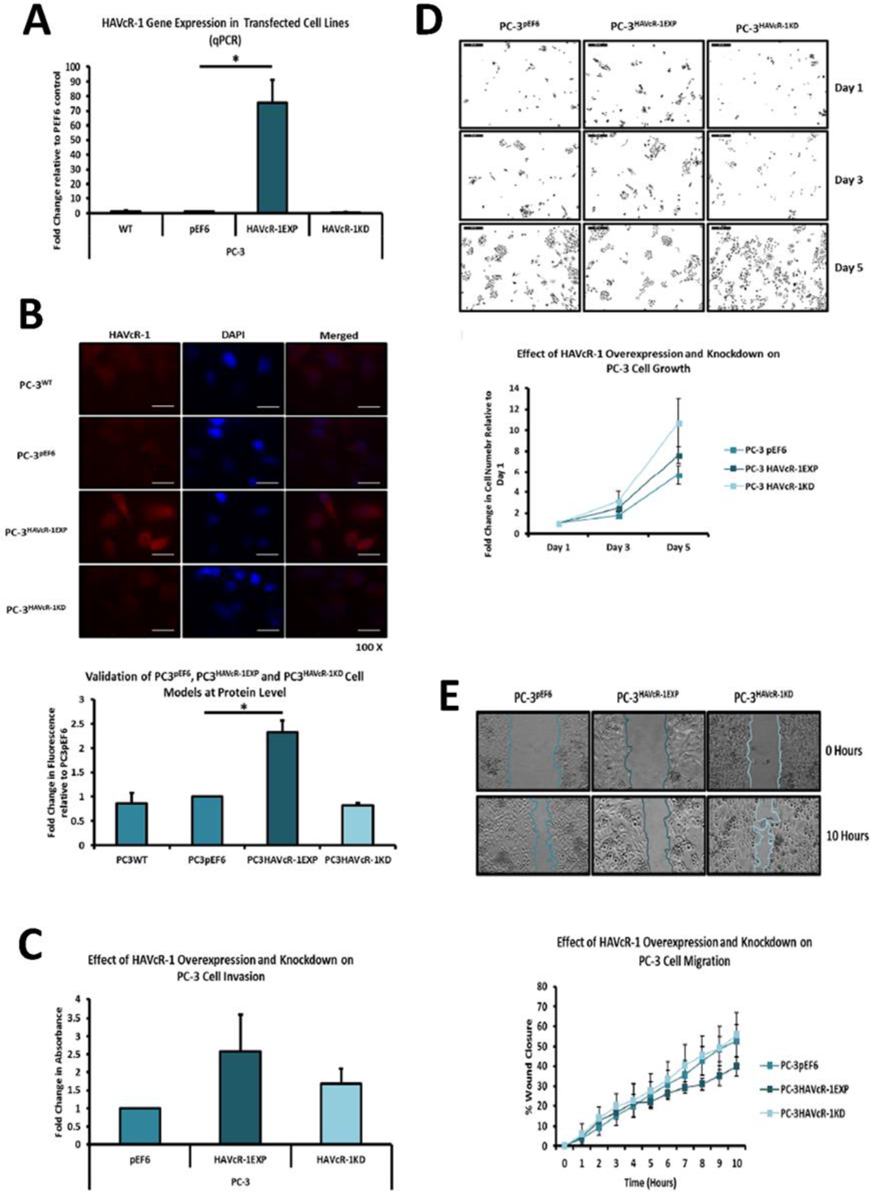 Biomolecules 12 00338 g002