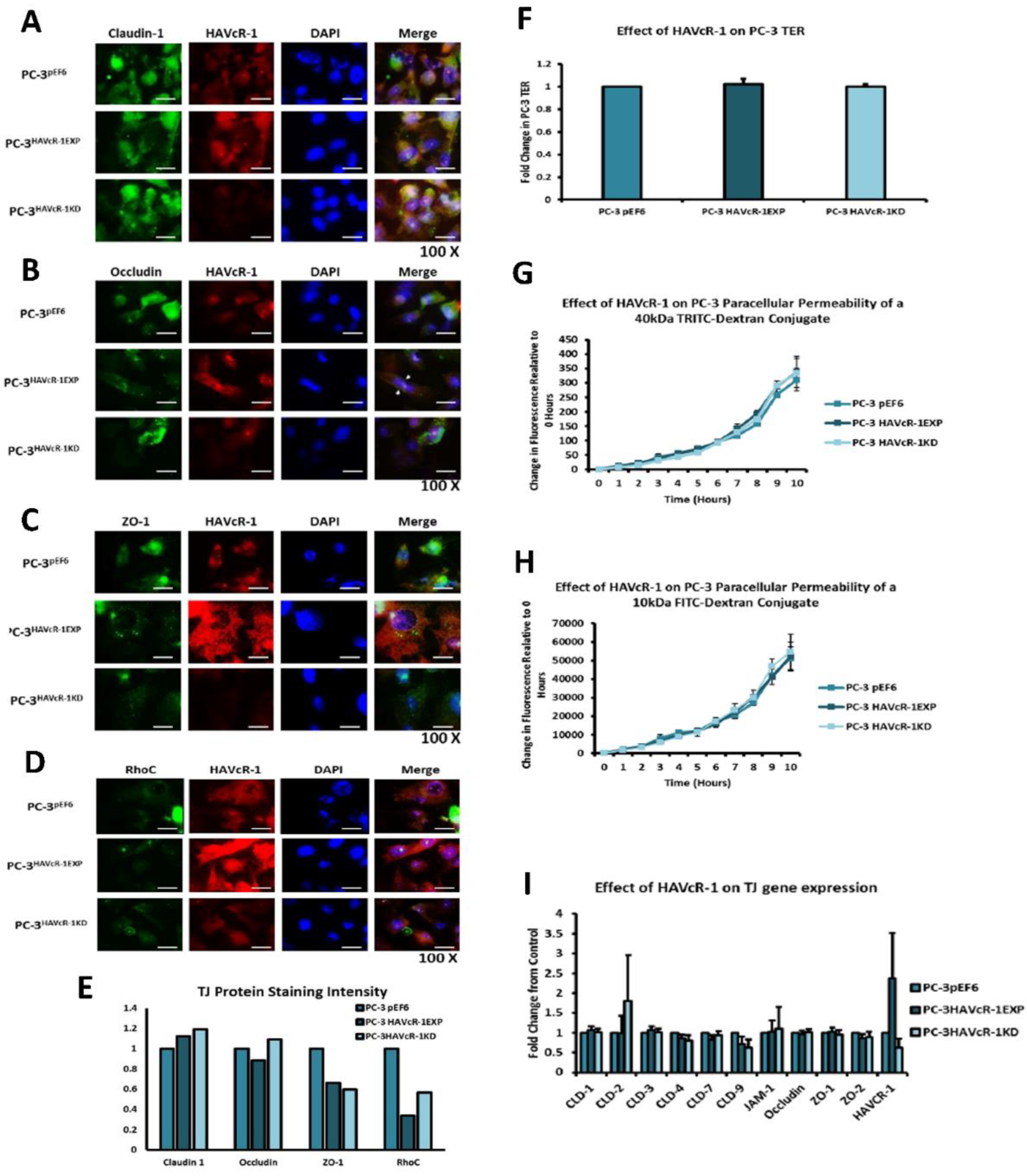 Biomolecules 12 00338 g004