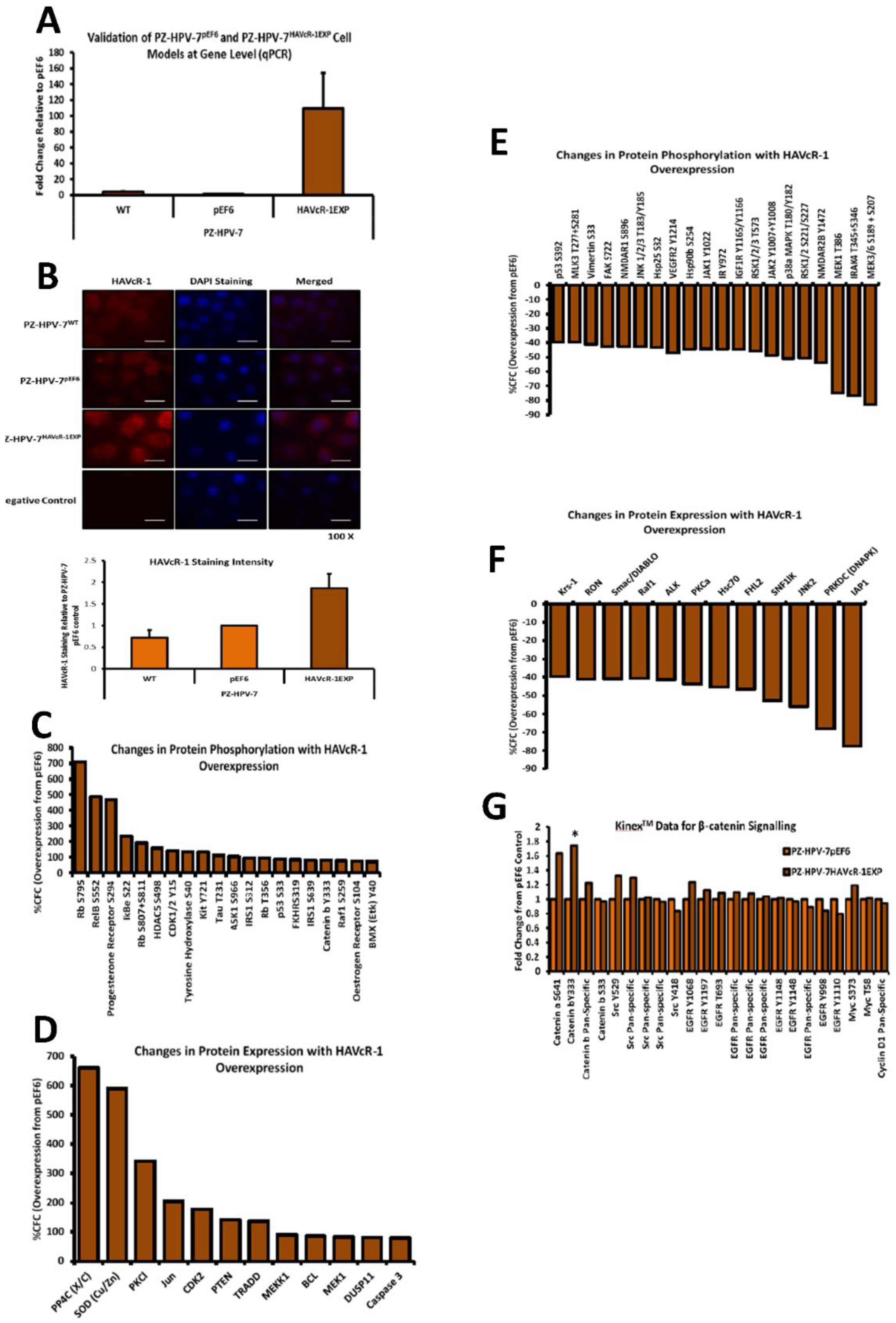 Biomolecules 12 00338 g005