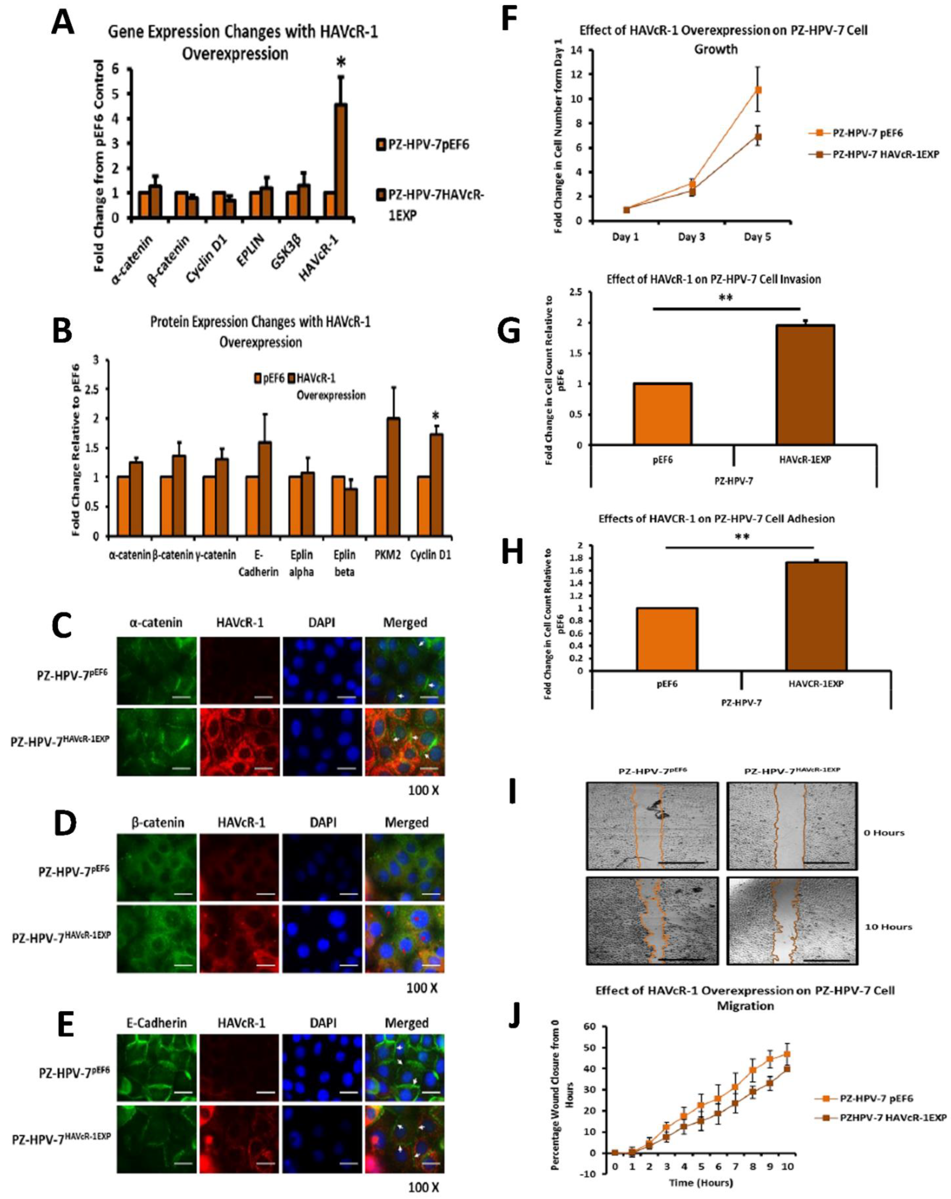 Biomolecules 12 00338 g006