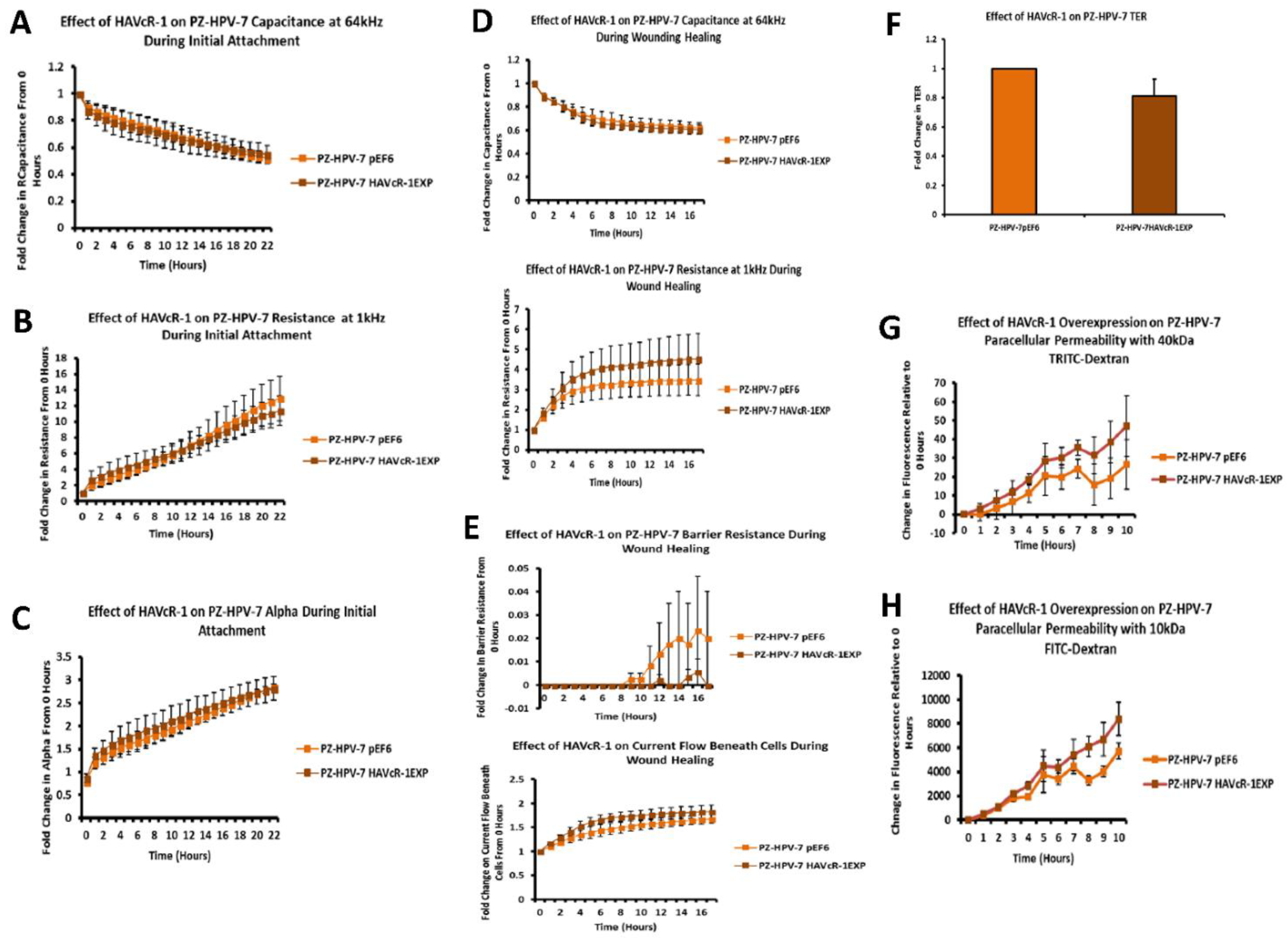 Biomolecules 12 00338 g007