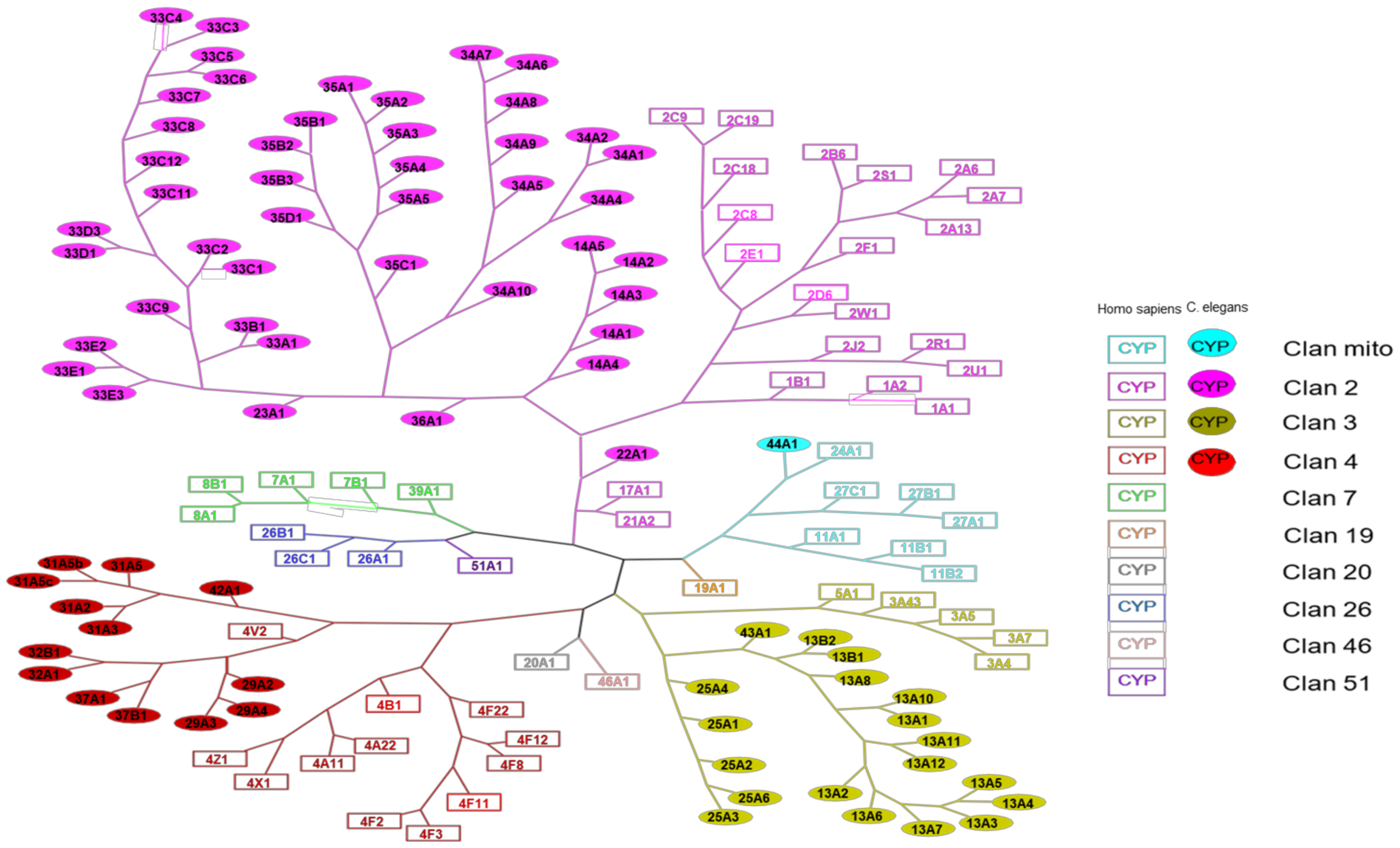 Biomolecules 12 00342 g001
