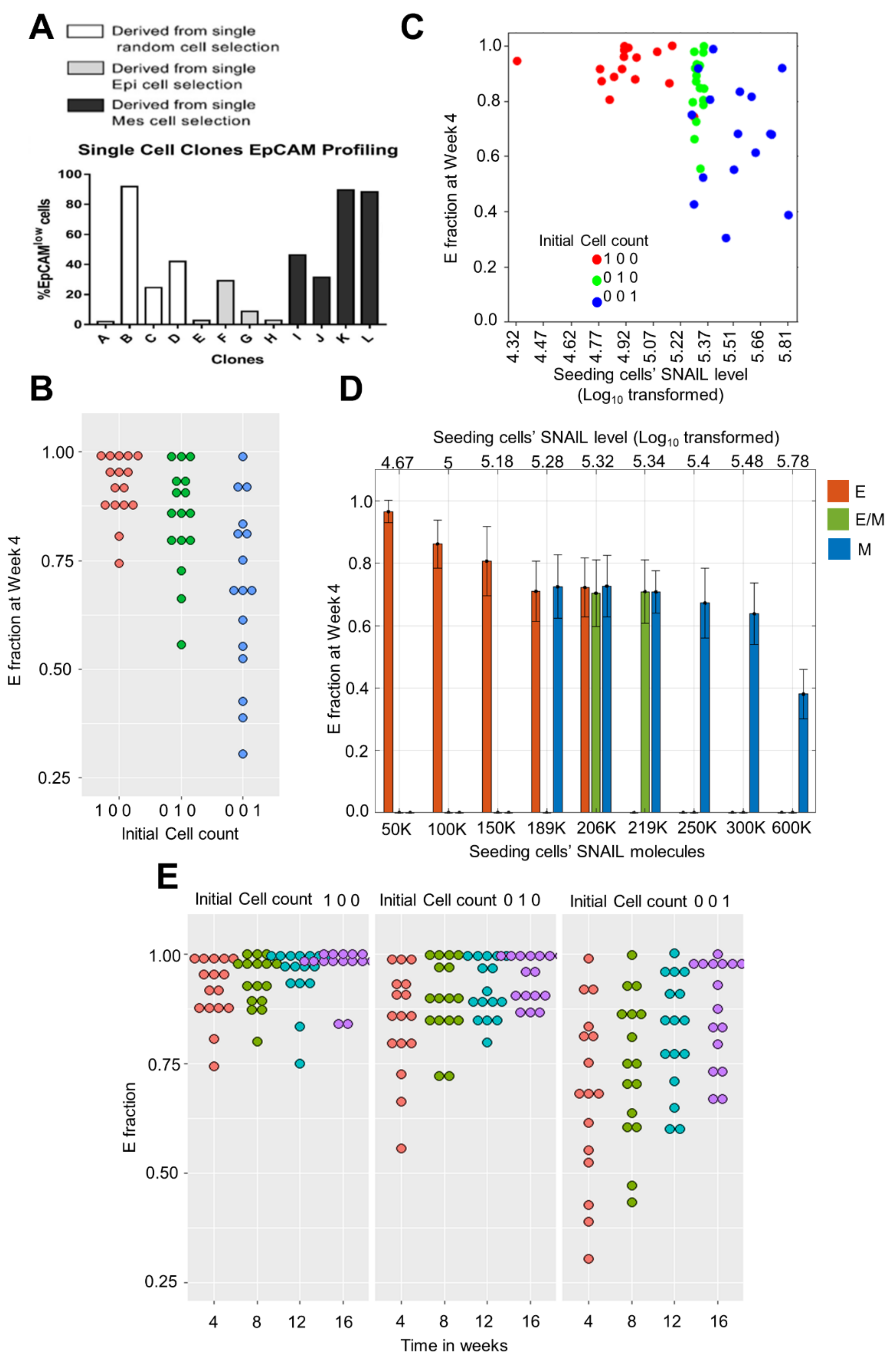 Biomolecules 12 00348 g005