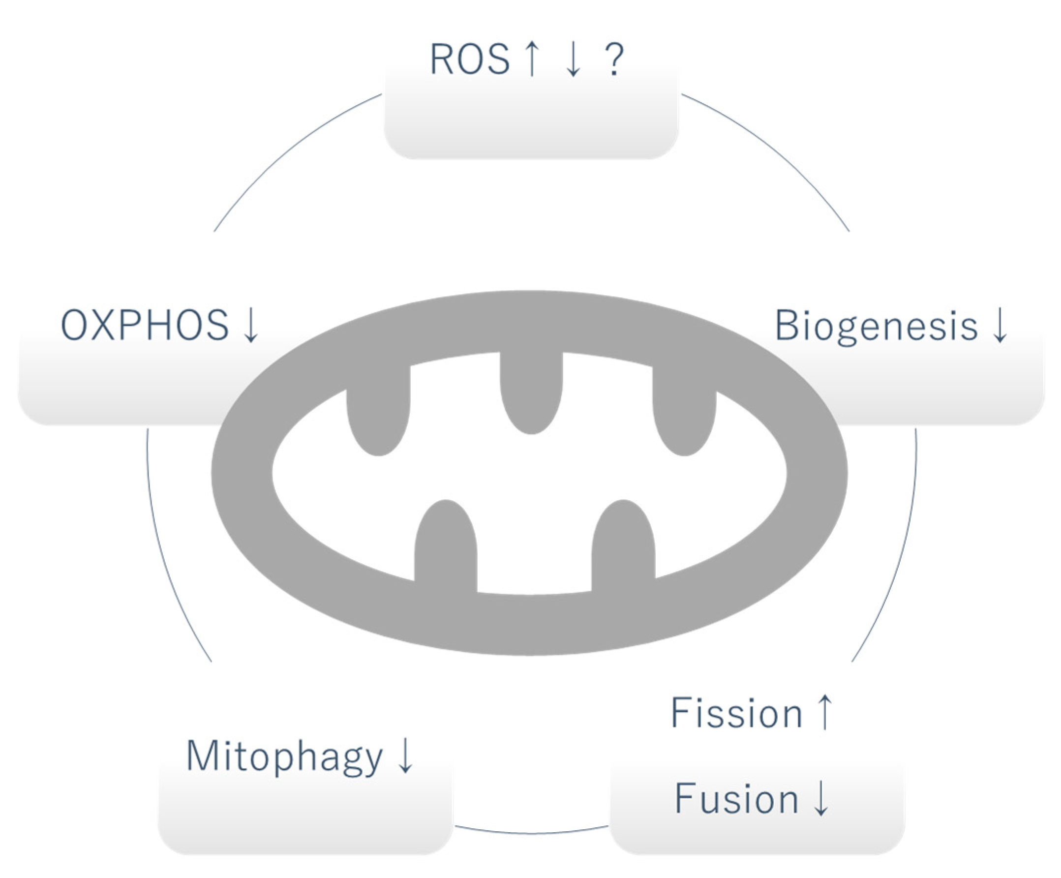 Biomolecules 12 00351 g001