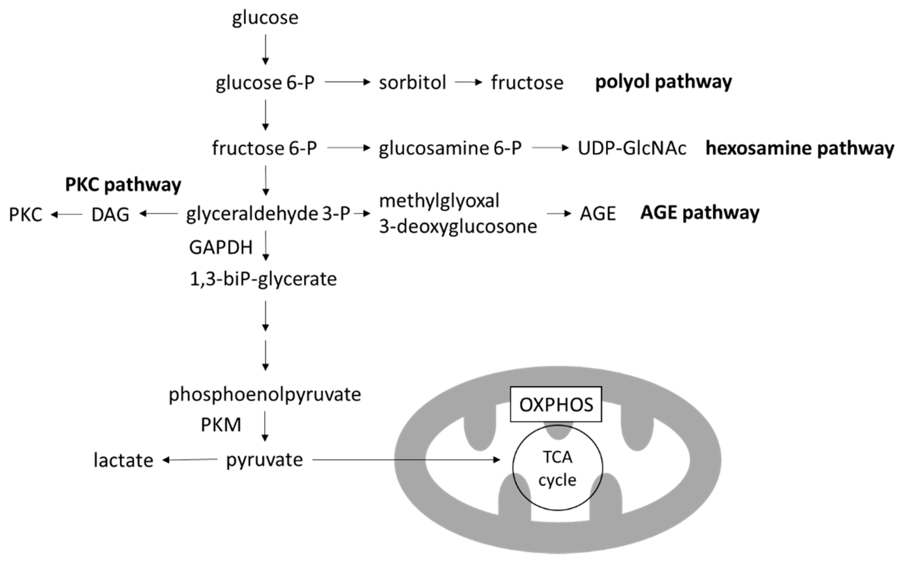 Biomolecules 12 00351 g003