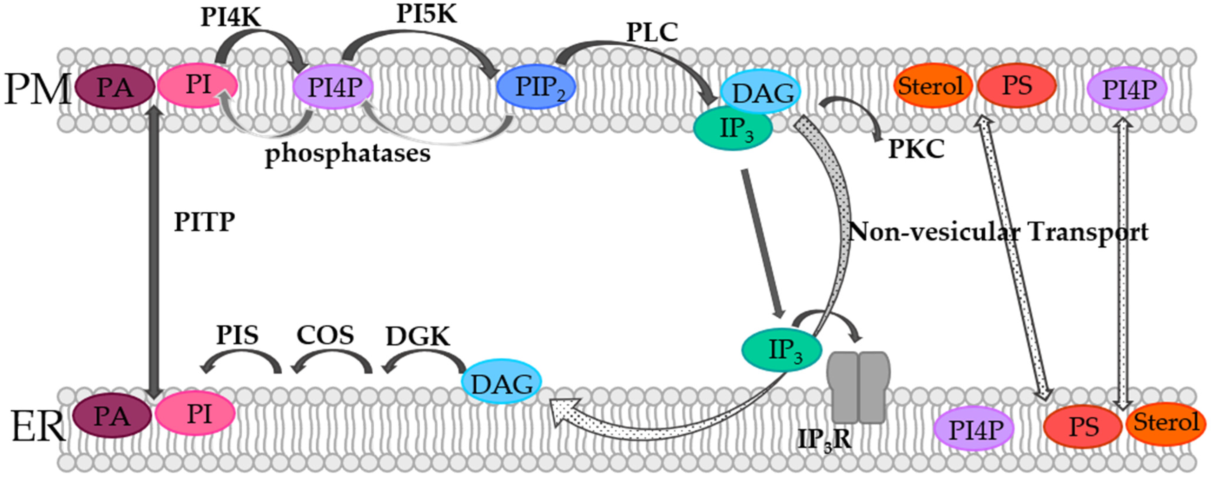 Biomolecules 12 00352 g001