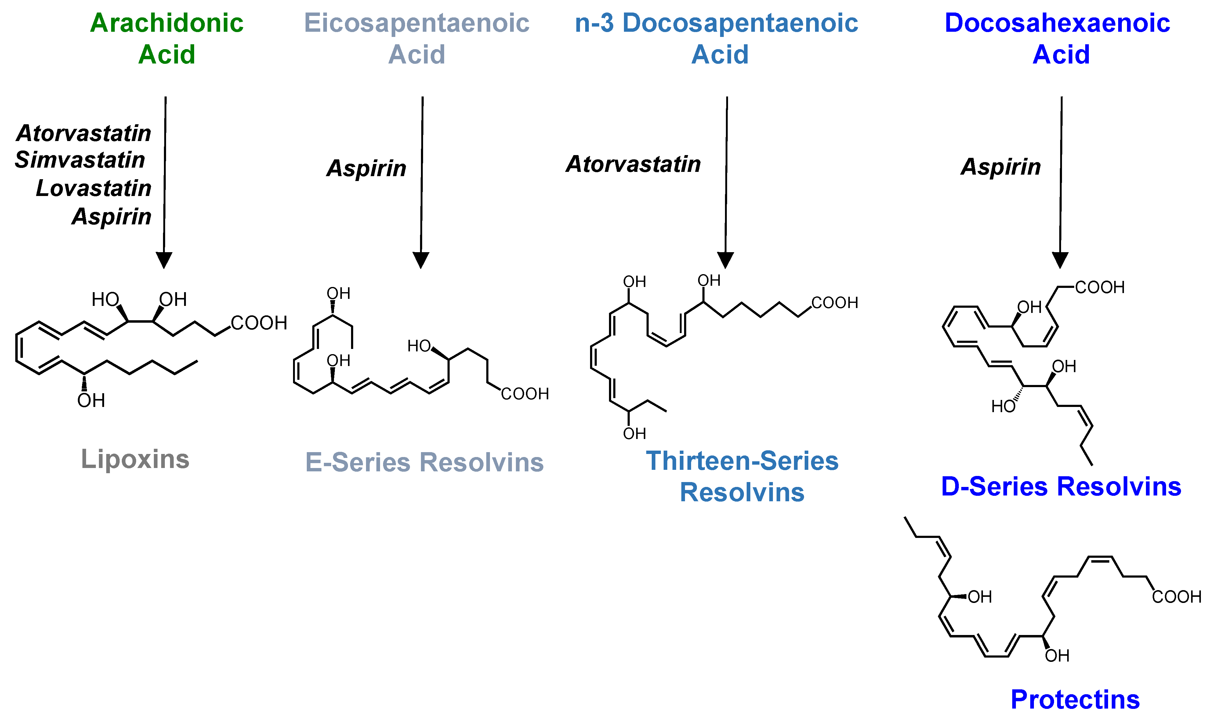 Biomolecules 12 00353 g003