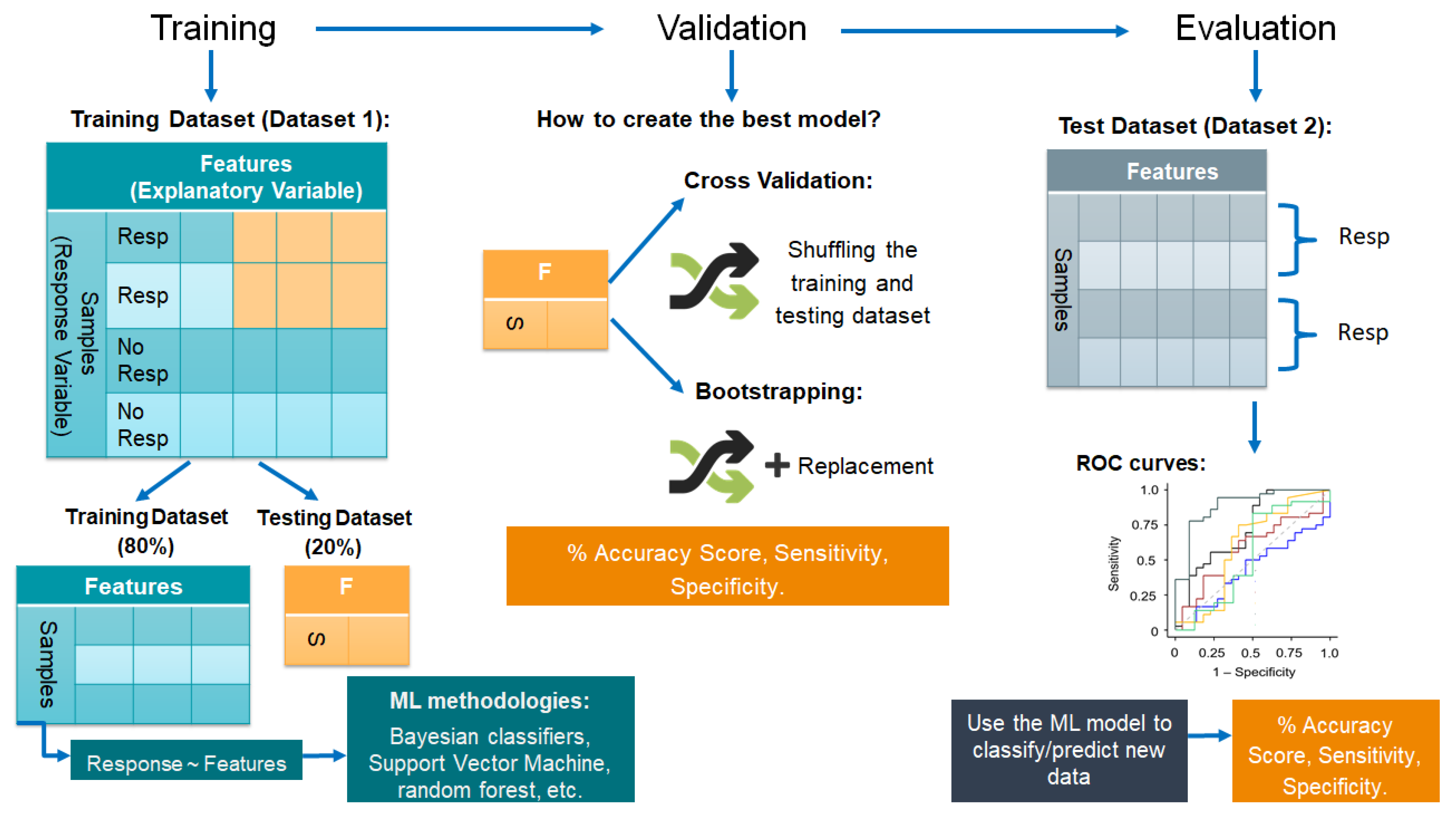 Biomolecules 12 00353 g004