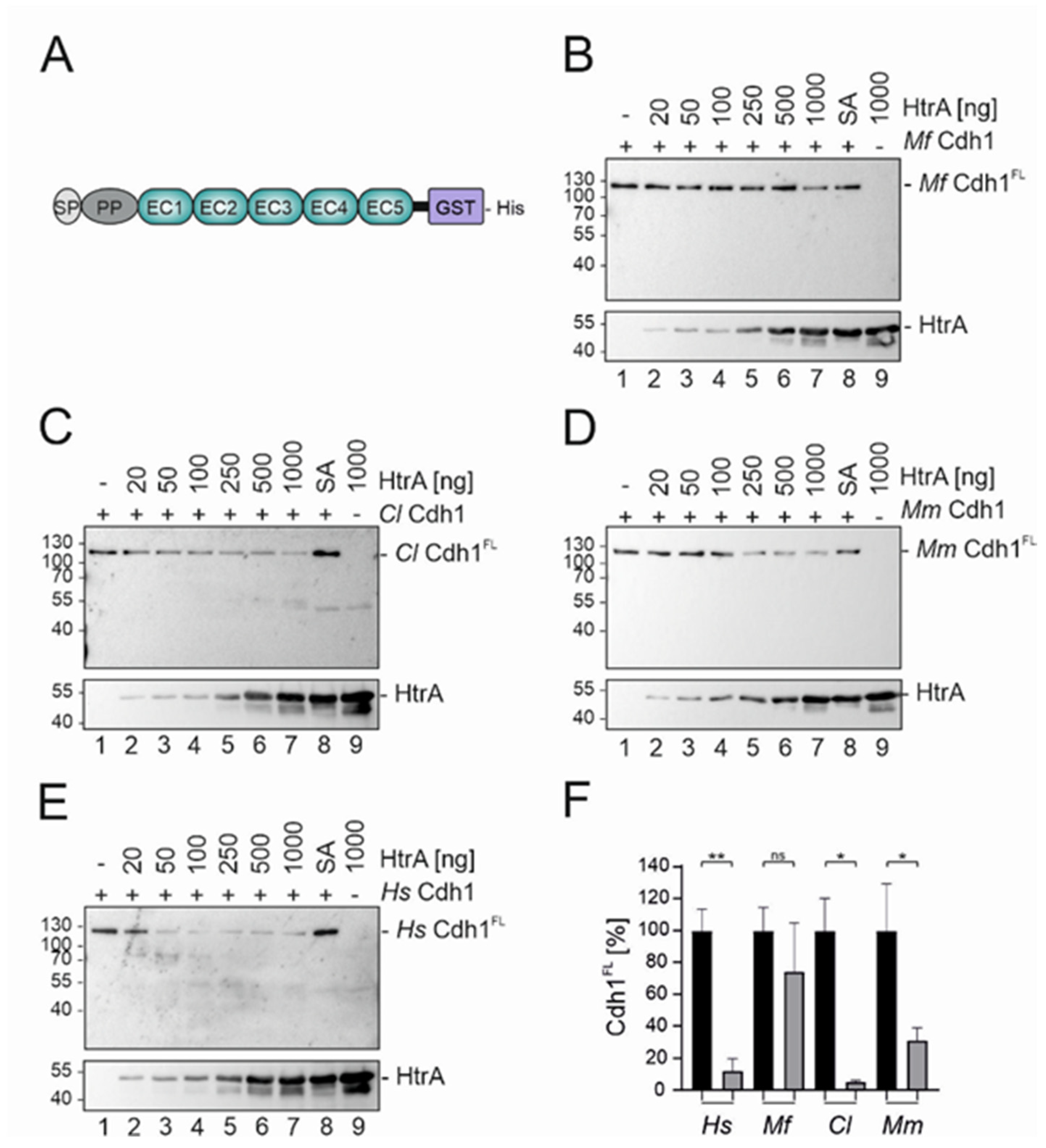 Biomolecules 12 00356 g002