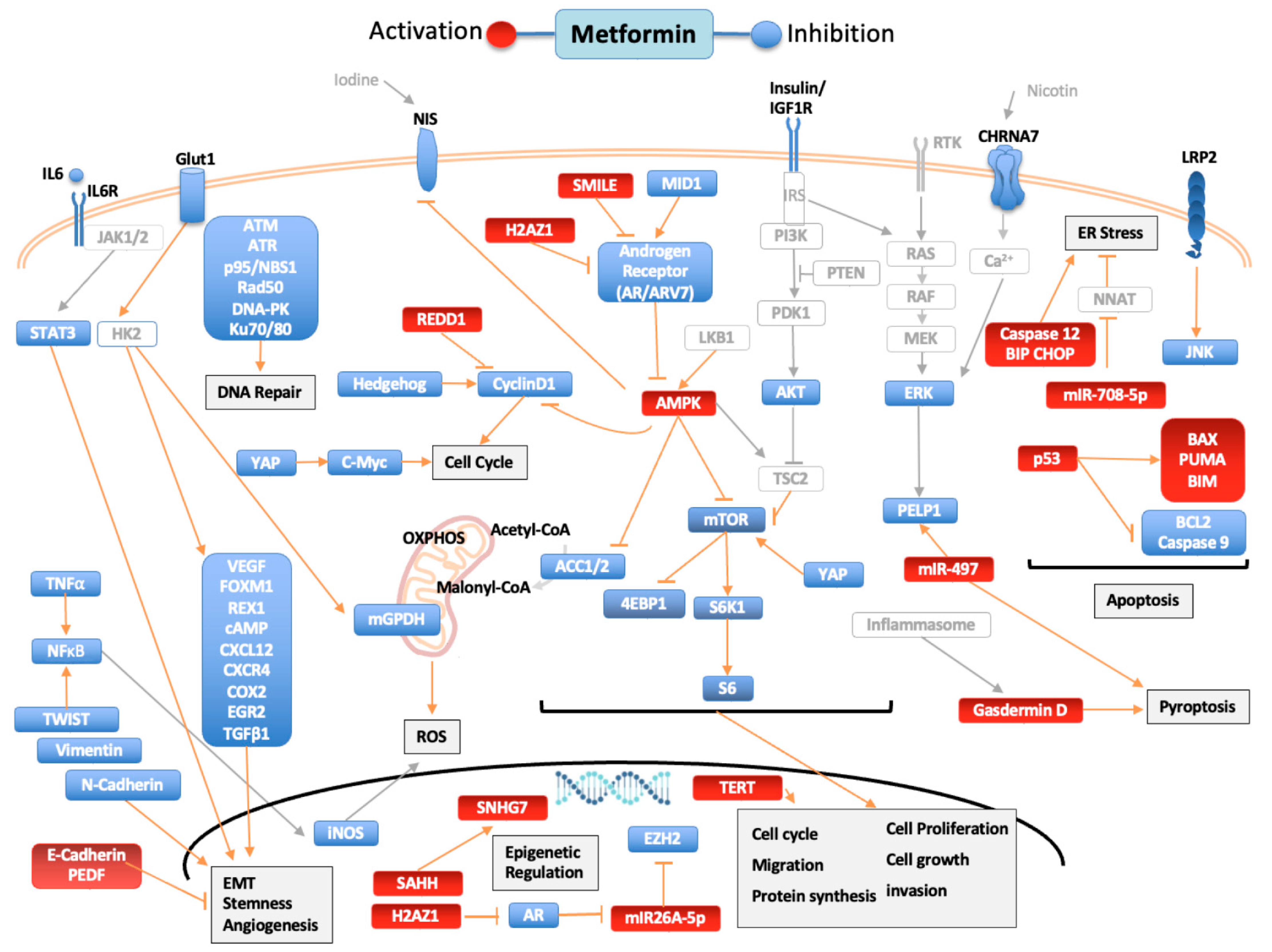 Biomolecules 12 00357 g001