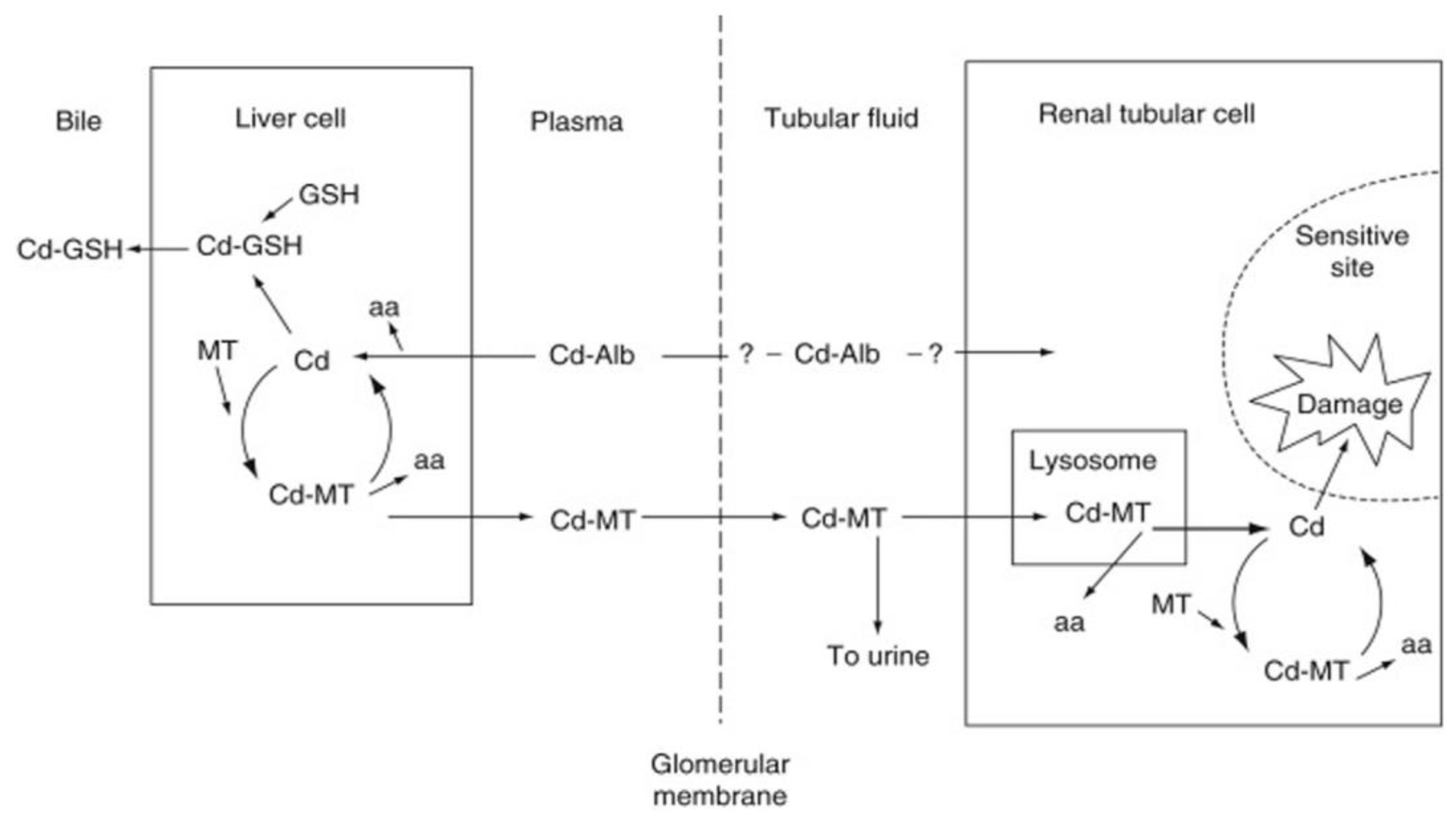 Biomolecules 12 00360 g002