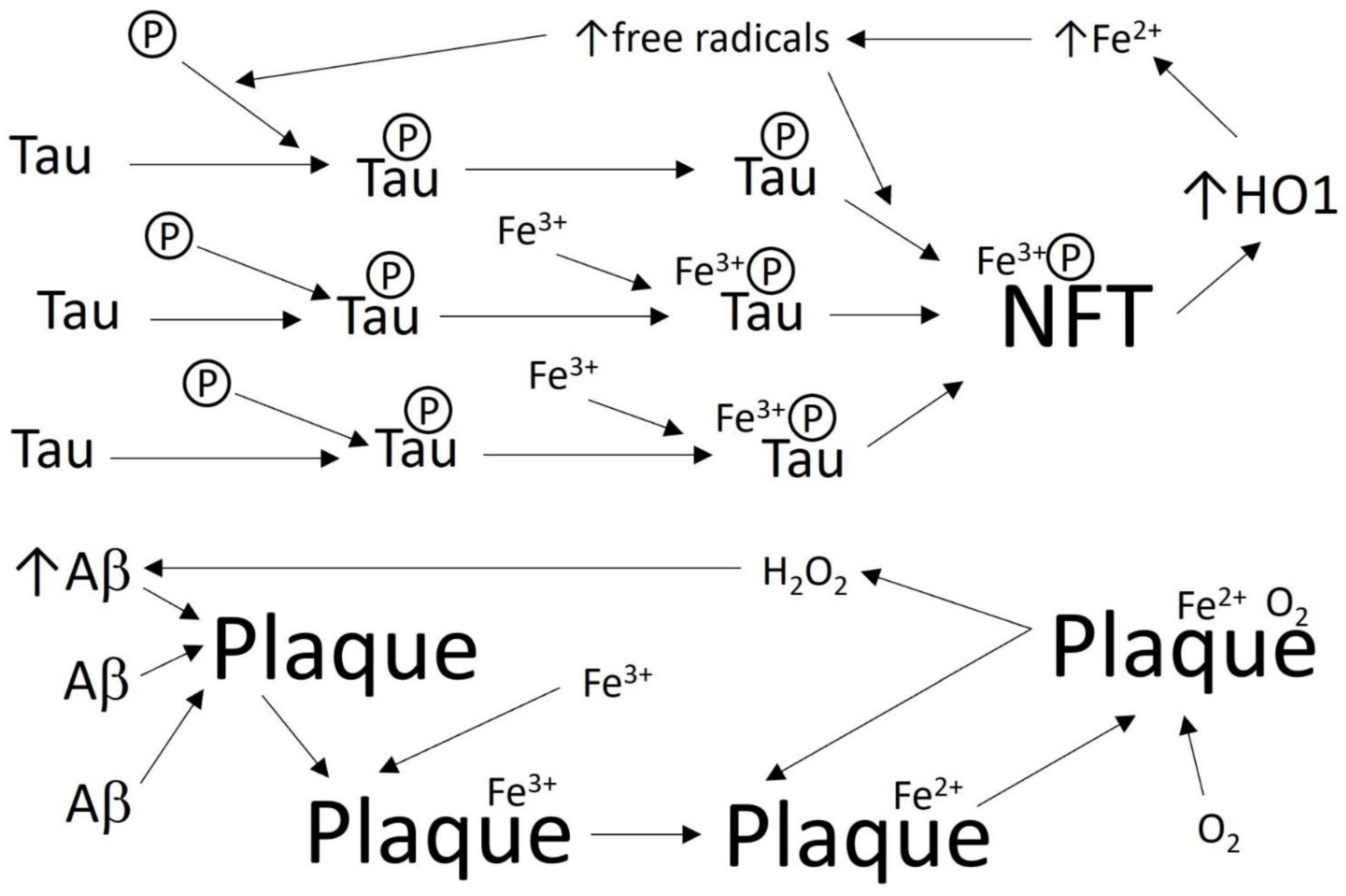 Biomolecules 12 00365 g001