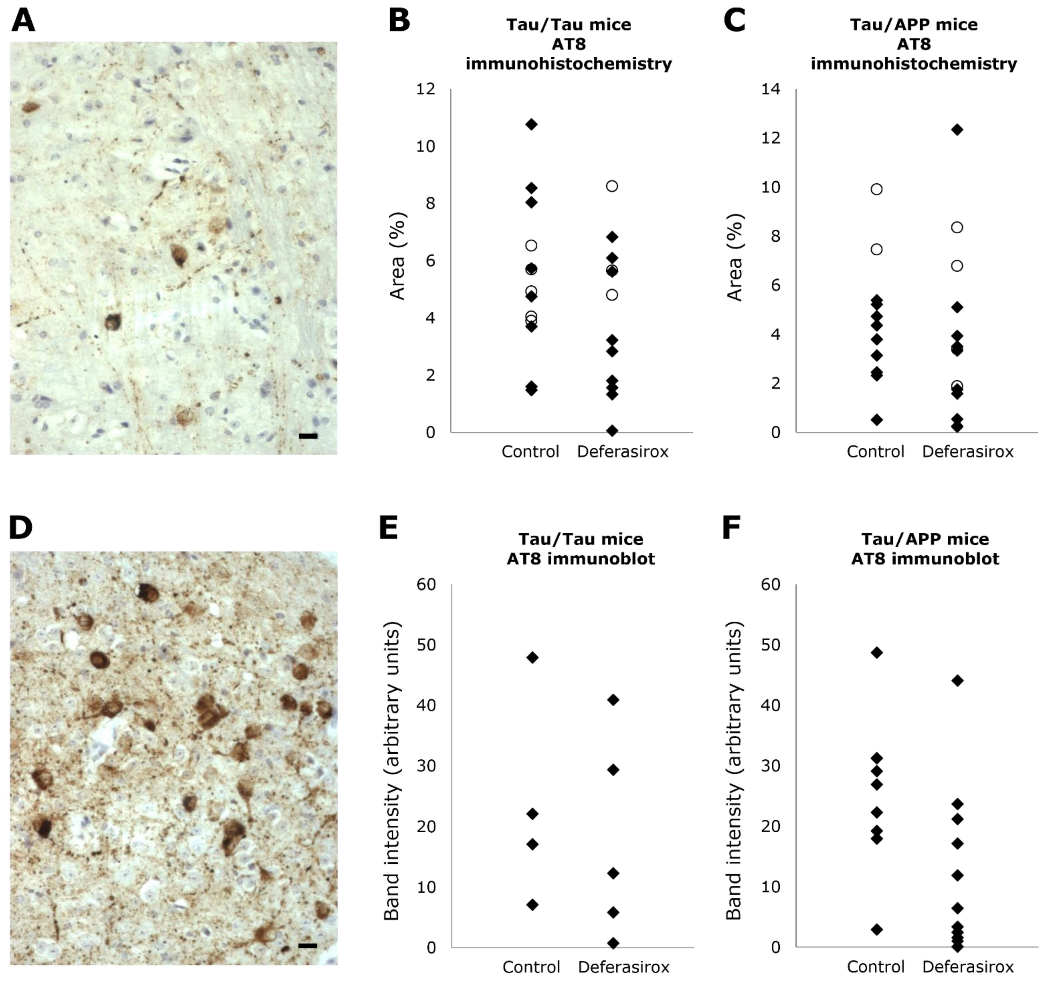 Biomolecules 12 00365 g004