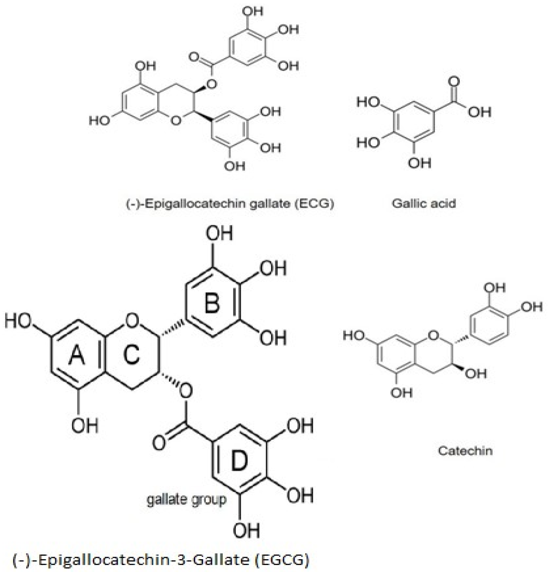 Biomolecules 12 00371 g002