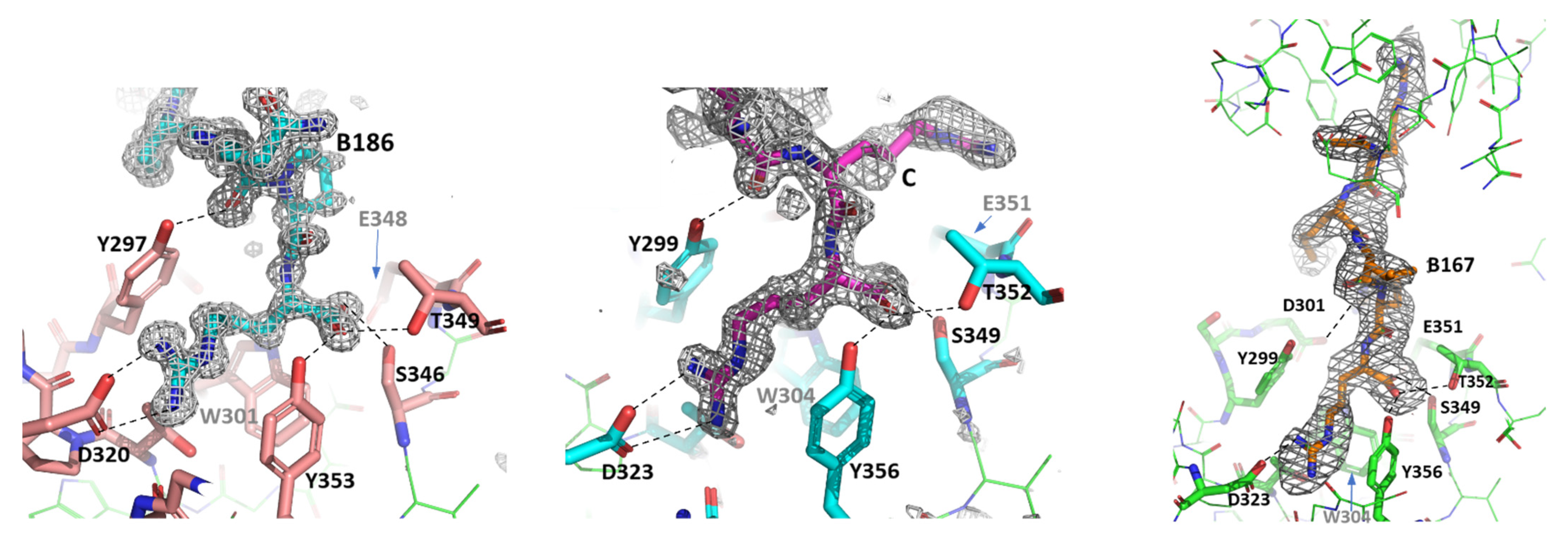Biomolecules 12 00372 g001