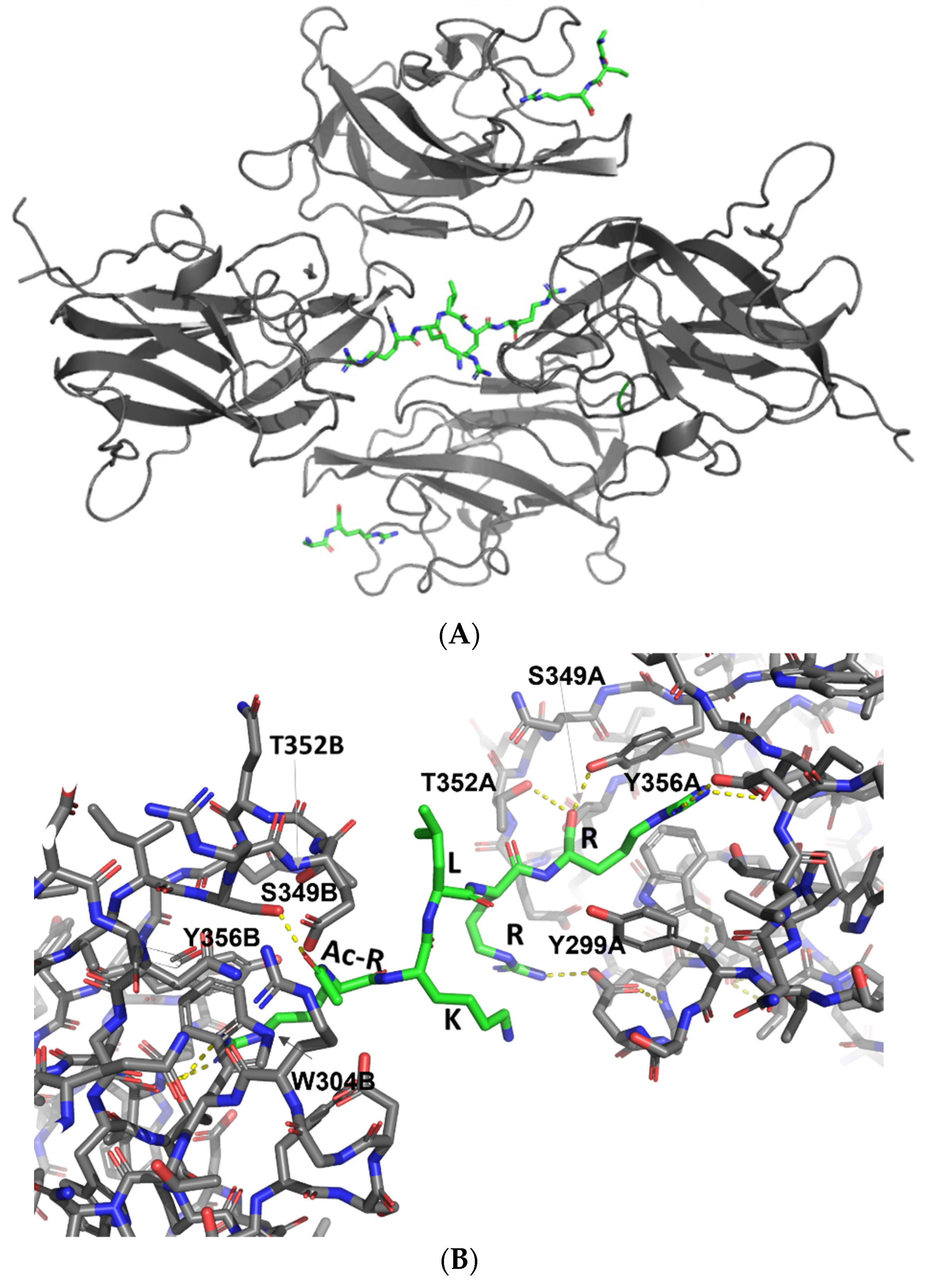 Biomolecules 12 00372 g002